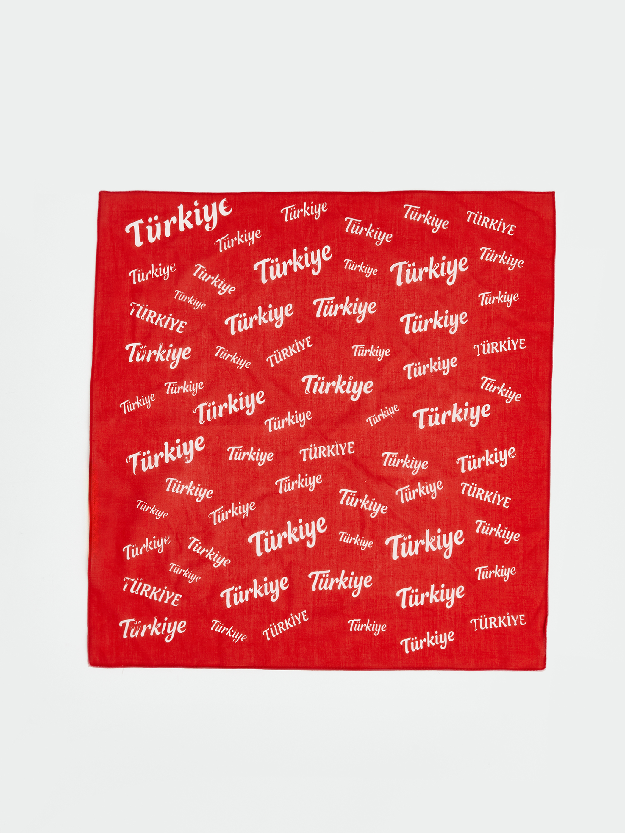 LCW ACCESSORIES Türkiye Baskılı Erkek Bandana görsel 2