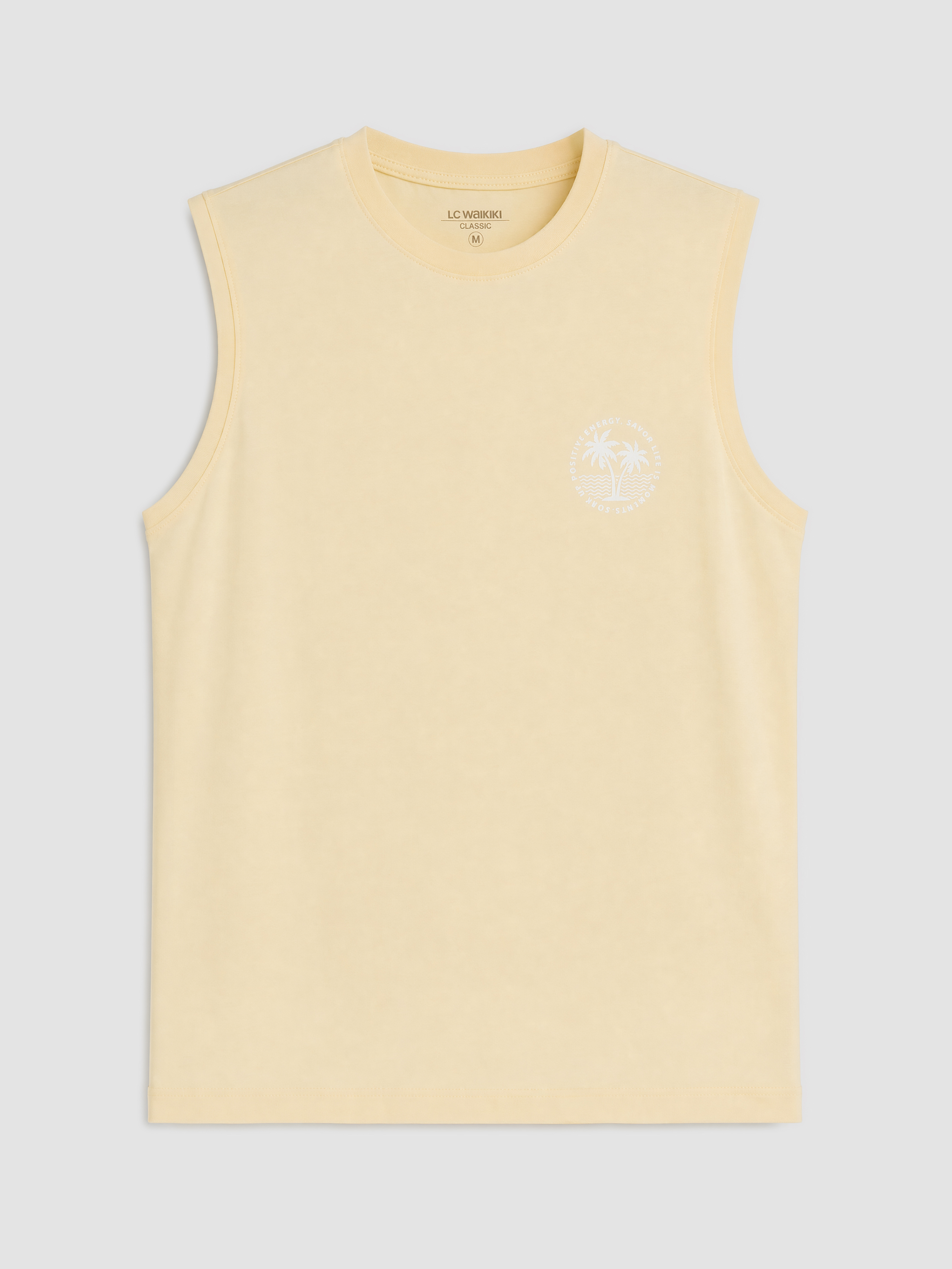 LCWAIKIKI Classic Standart Fit Bisiklet Yaka Penye Erkek Tişört görsel 5