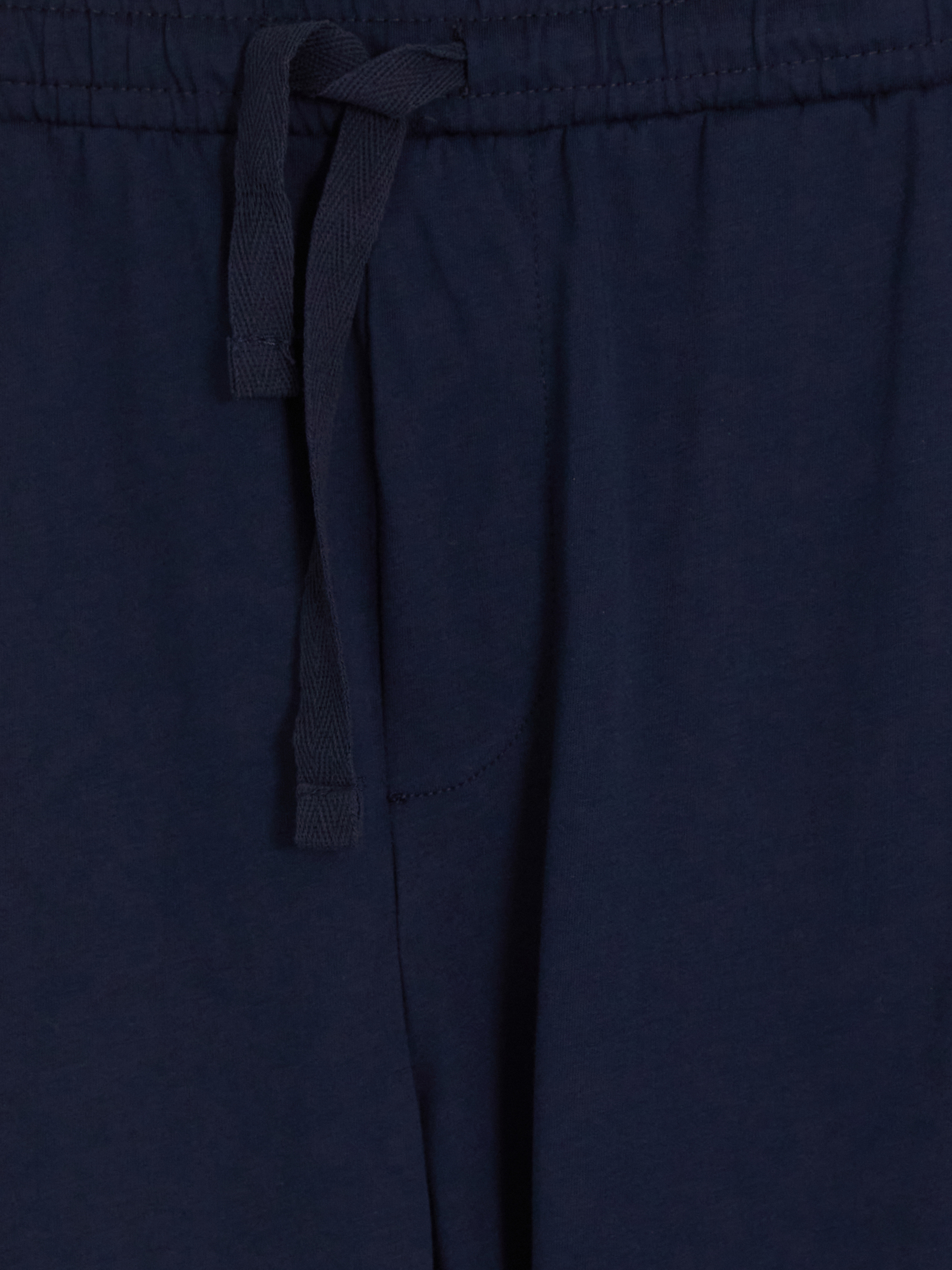 LC WAIKIKI Standart Kalıp Erkek Pijama Alt Şort görsel 6