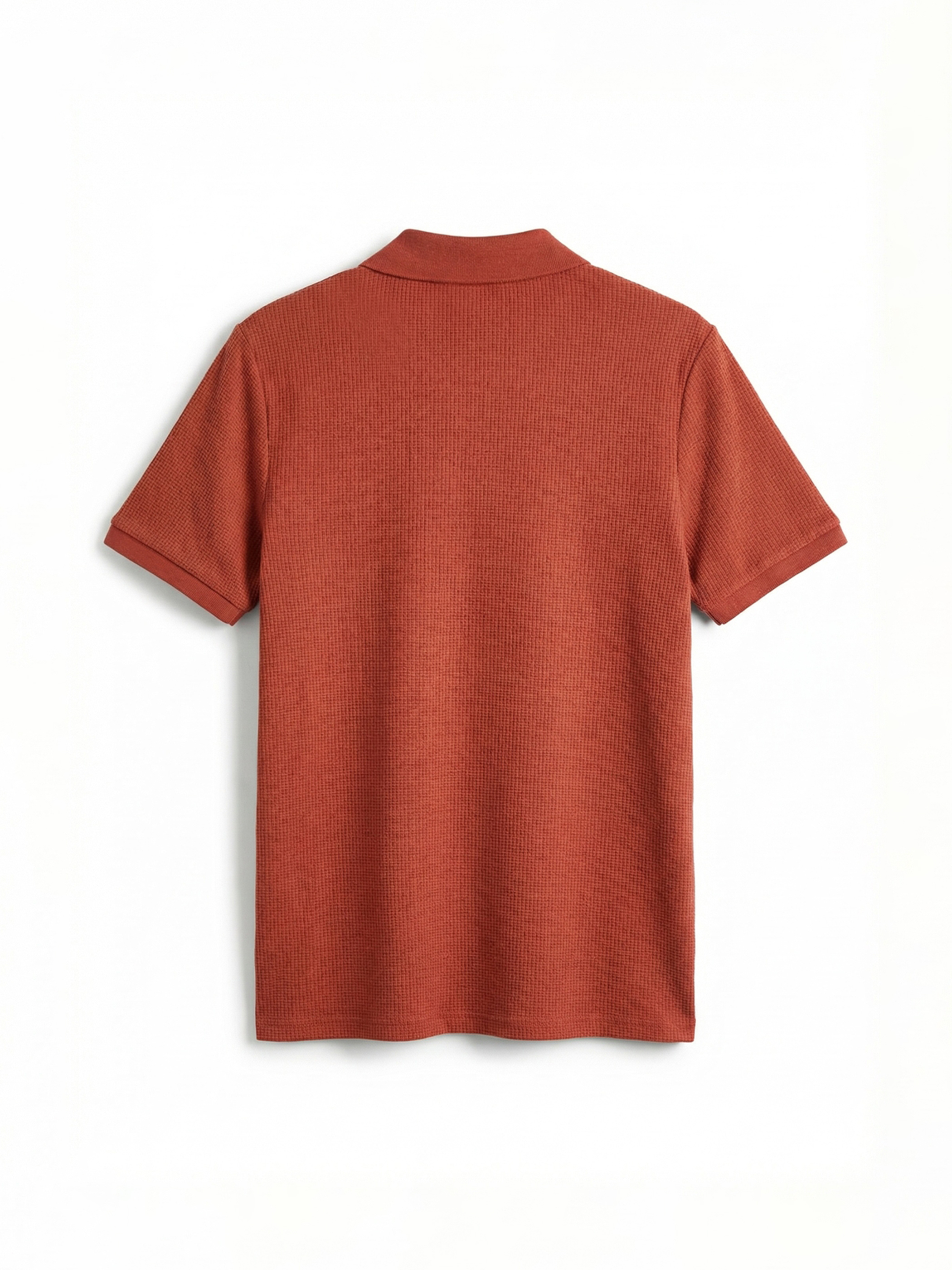 SOUTHBLUE Polo Yaka Erkek Tişört görsel 6