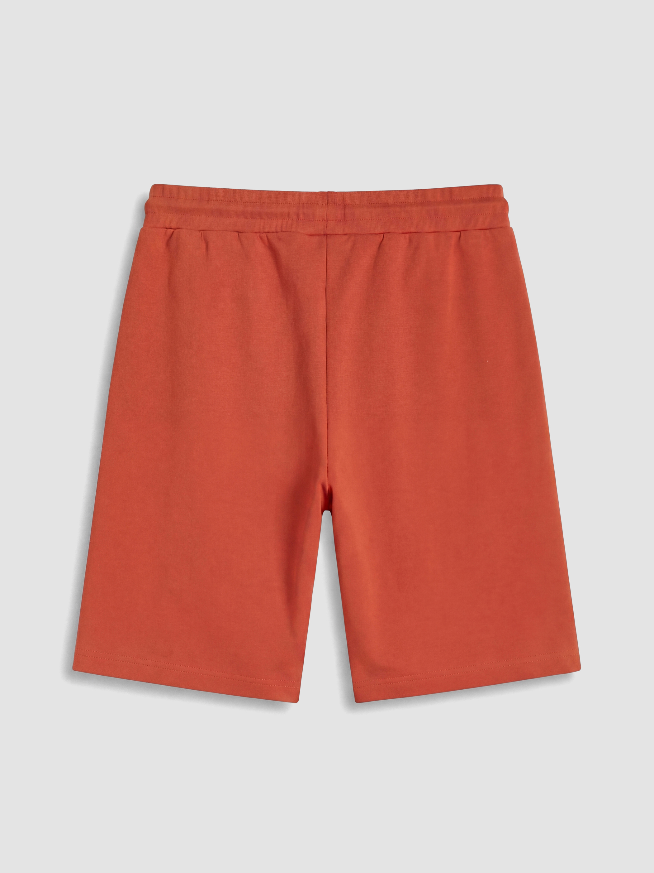 LC WAIKIKI Regular Fit Erkek Şort görsel 7