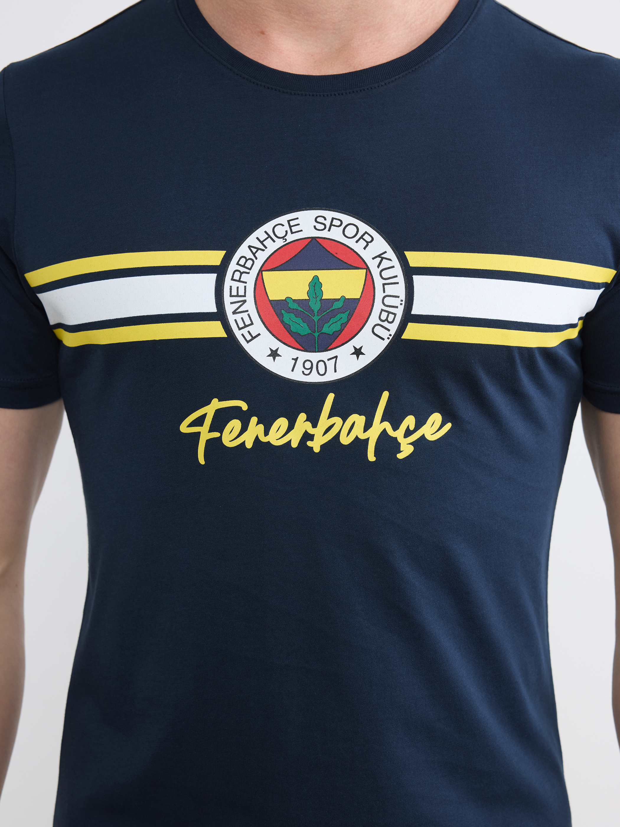LC WAIKIKI Fenerbahçe Baskılı Penye Erkek Pijama Takımı görsel 3