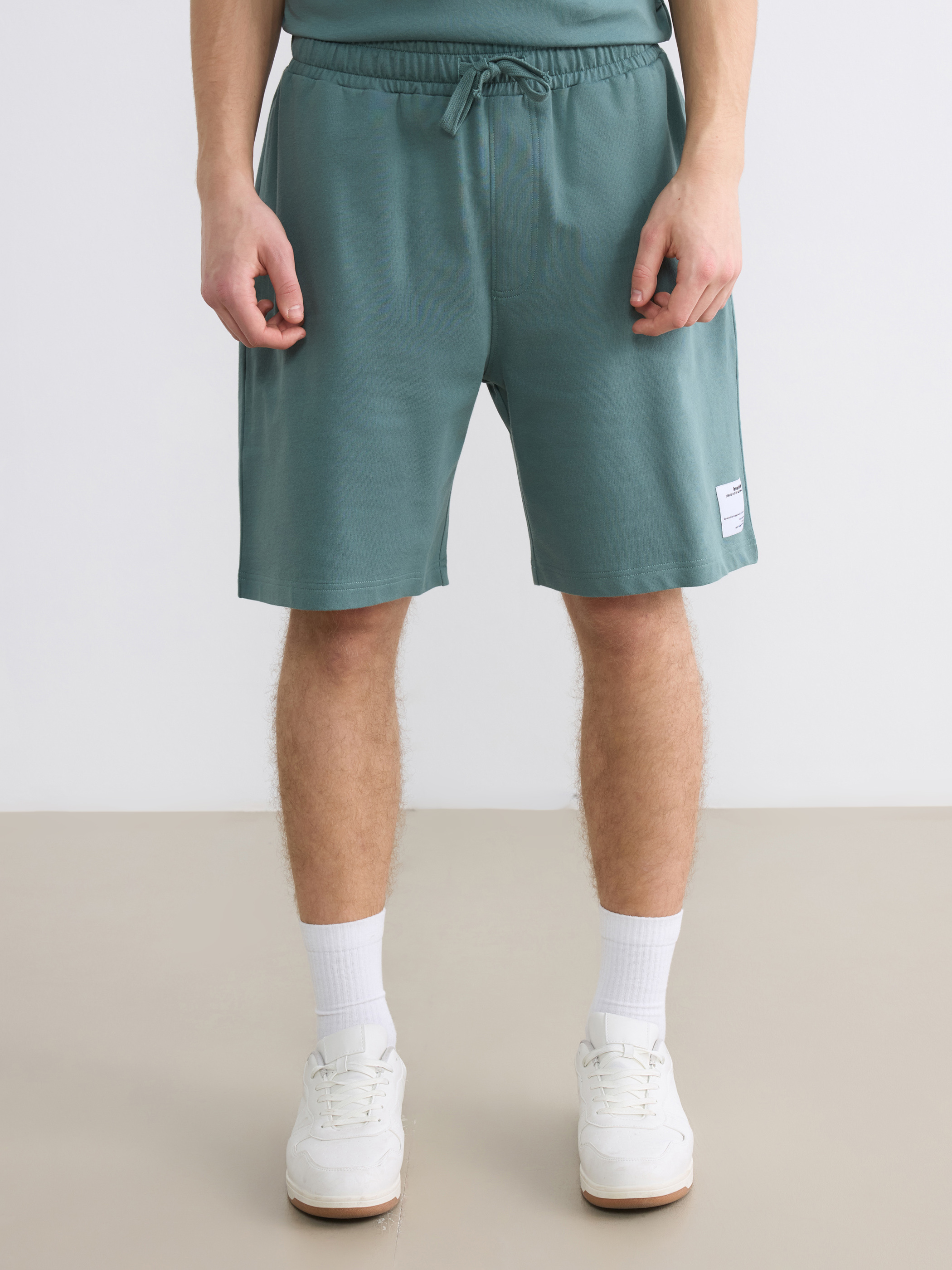 XSIDE Regular Fit Erkek Şort görsel 2