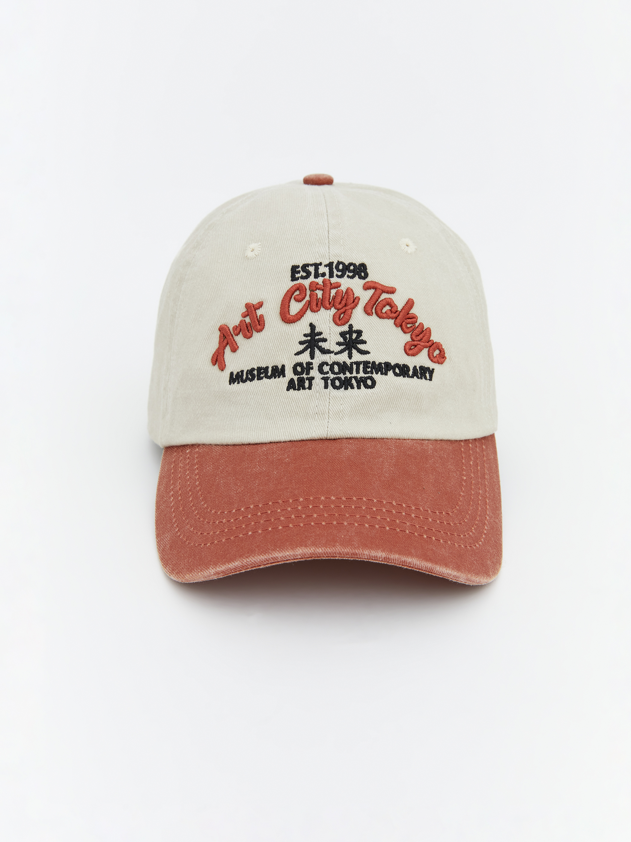 LCW ACCESSORIES Nakışlı Erkek Kep Şapka görsel 2