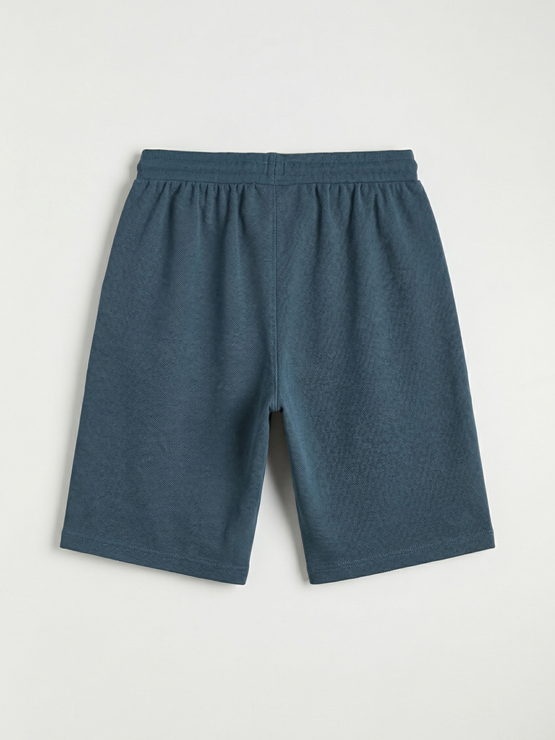 LCWAIKIKI Classic Regular Fit Erkek Şort görsel 6