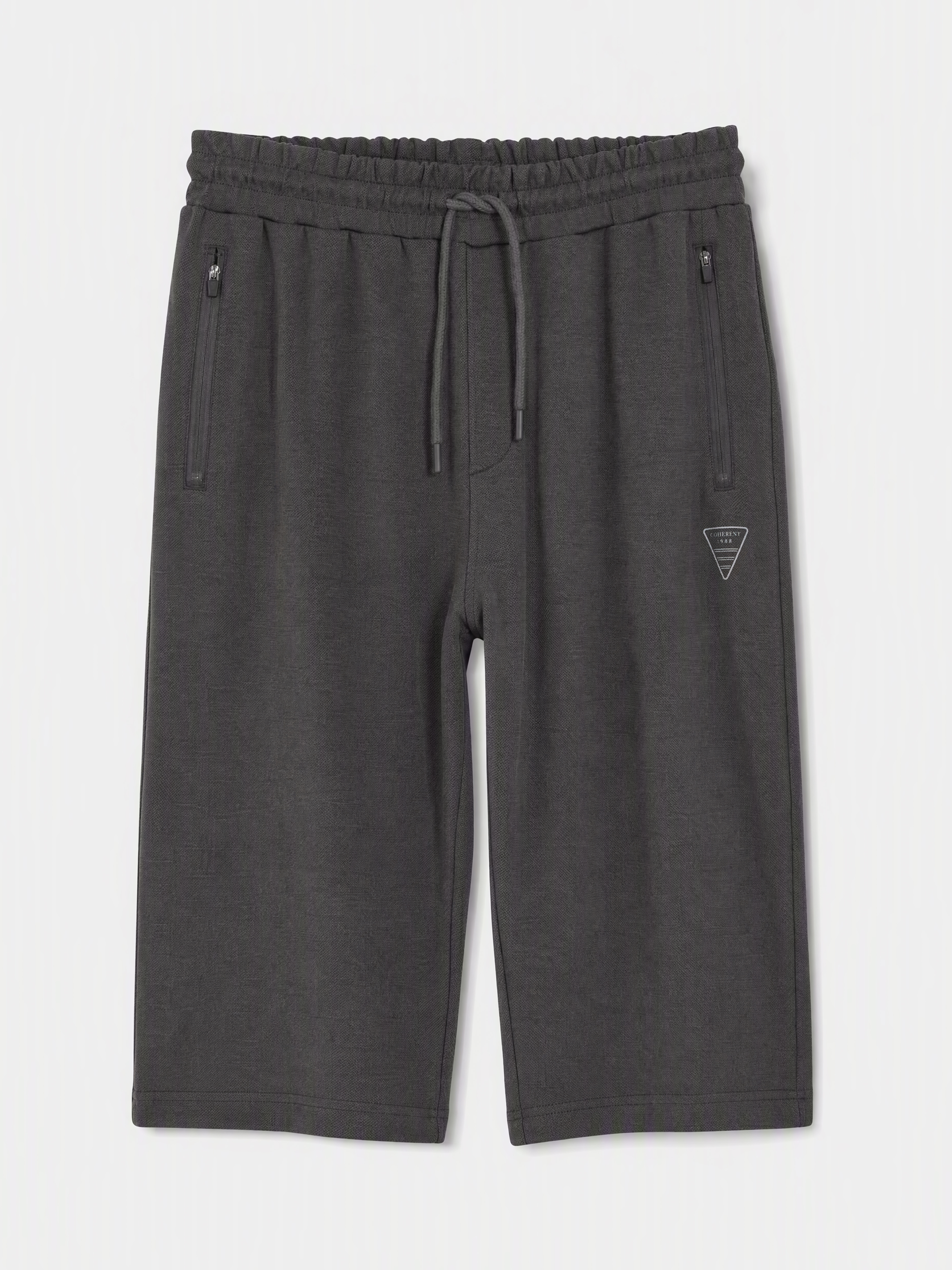 LCWAIKIKI Classic Regular Fit Erkek Şort görsel 5