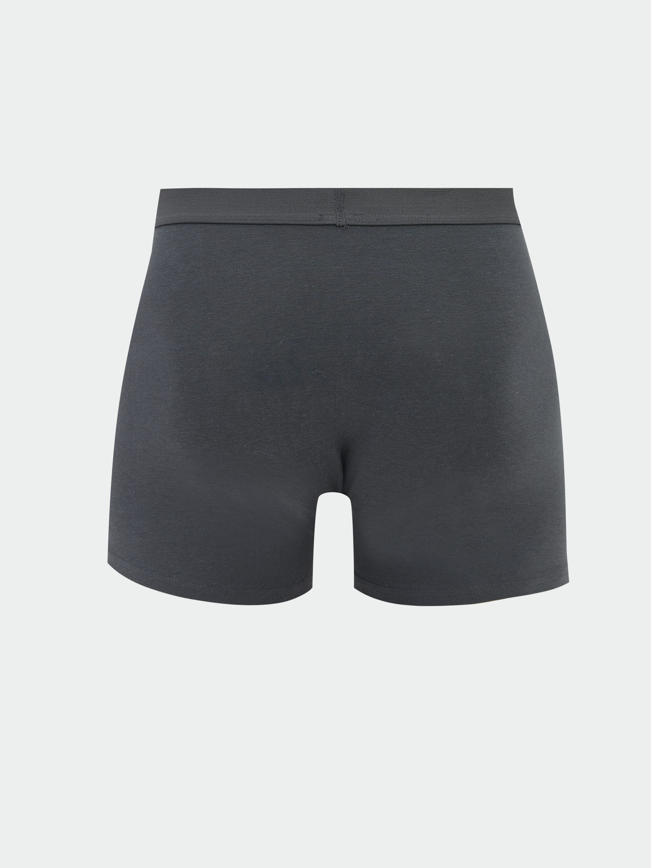 LC WAIKIKI Standart Kalıp Pamuklu Esnek Erkek Boxer 3'lü görsel 5