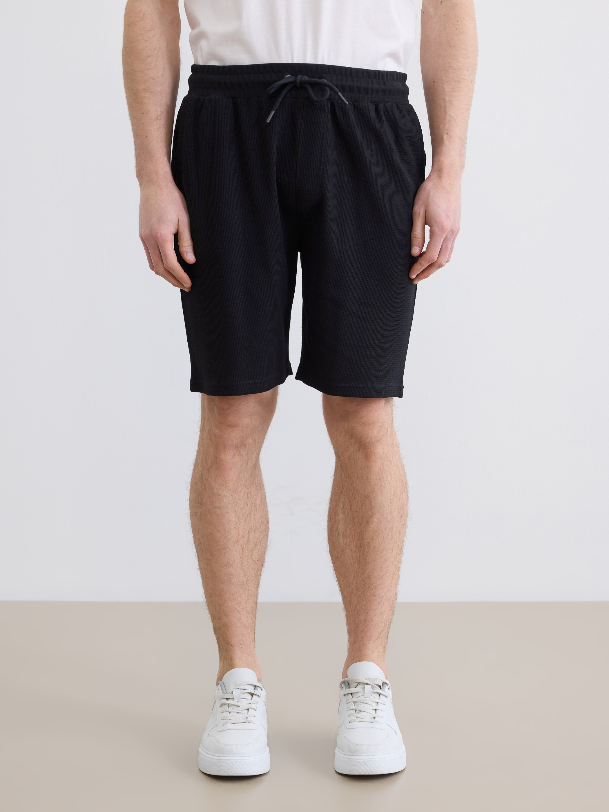 LCWAIKIKI Classic Regular Fit Erkek Şort görsel 4
