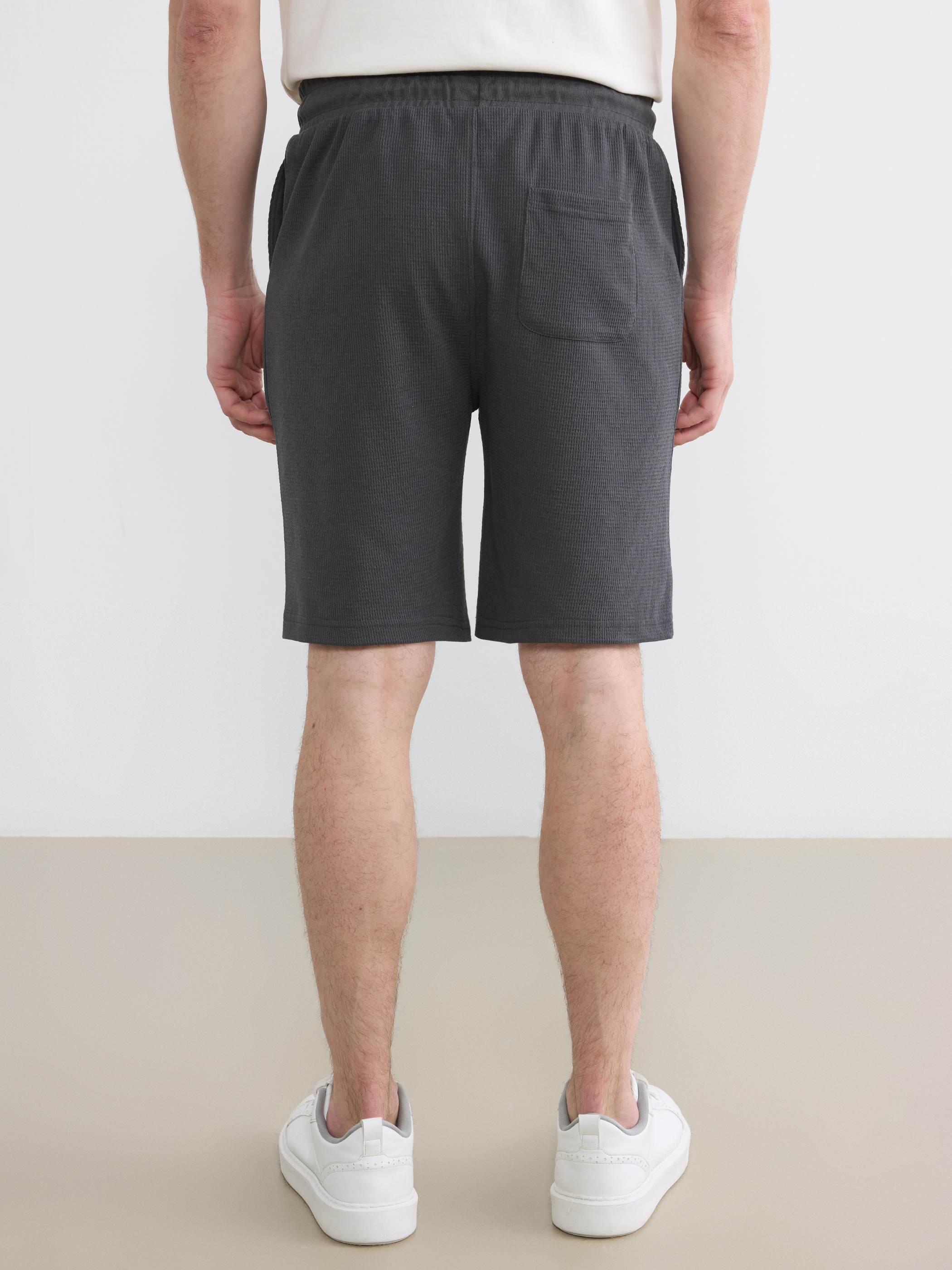 LCWAIKIKI Classic Regular Fit Erkek Şort görsel 4