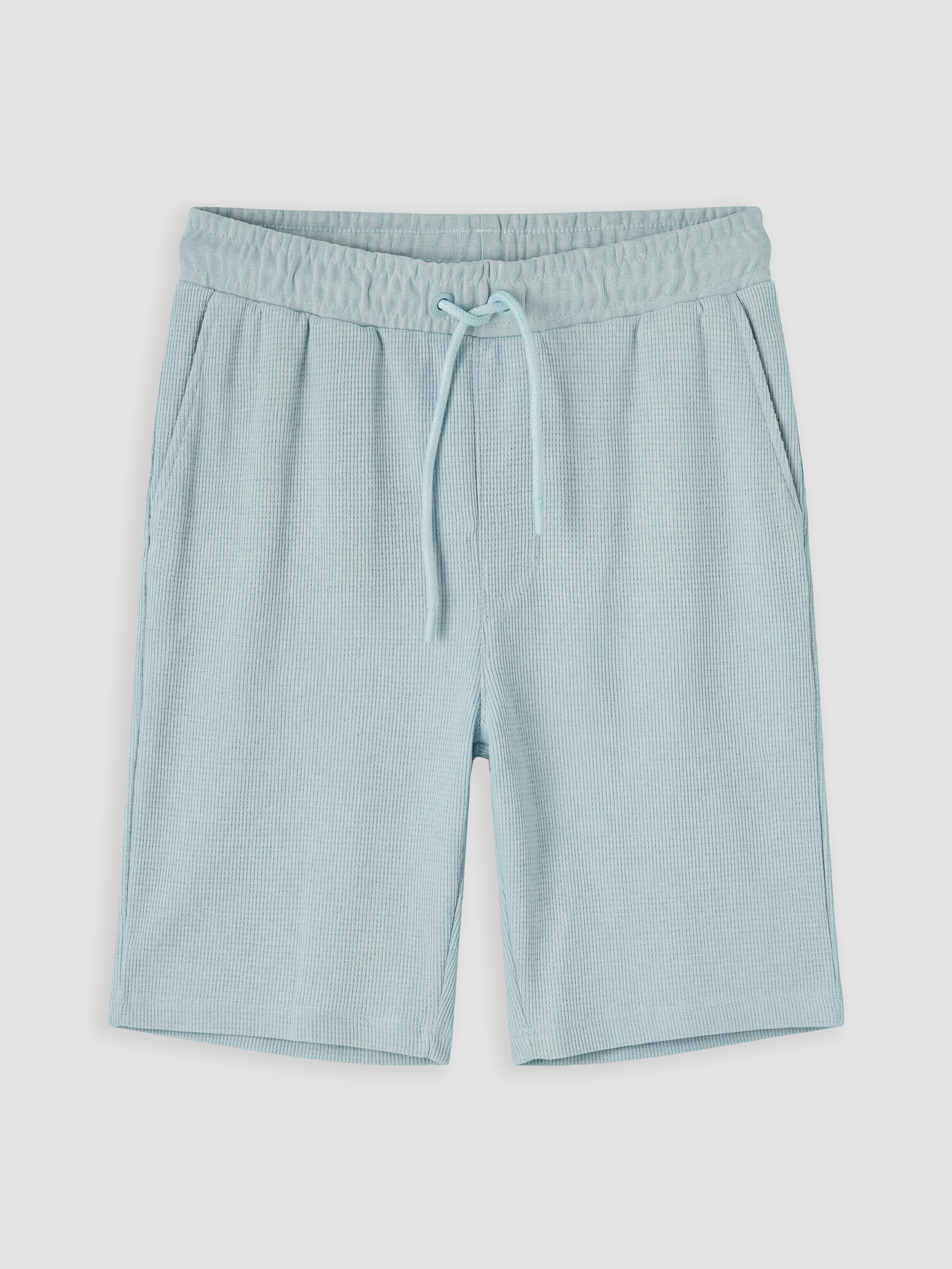 LCWAIKIKI Classic Regular Fit Erkek Şort görsel 5
