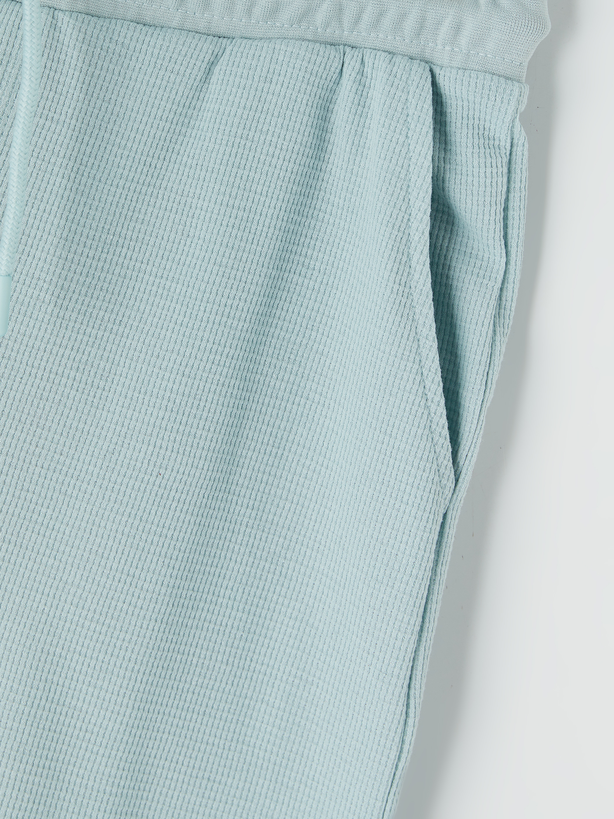 LCWAIKIKI Classic Regular Fit Erkek Şort görsel 8