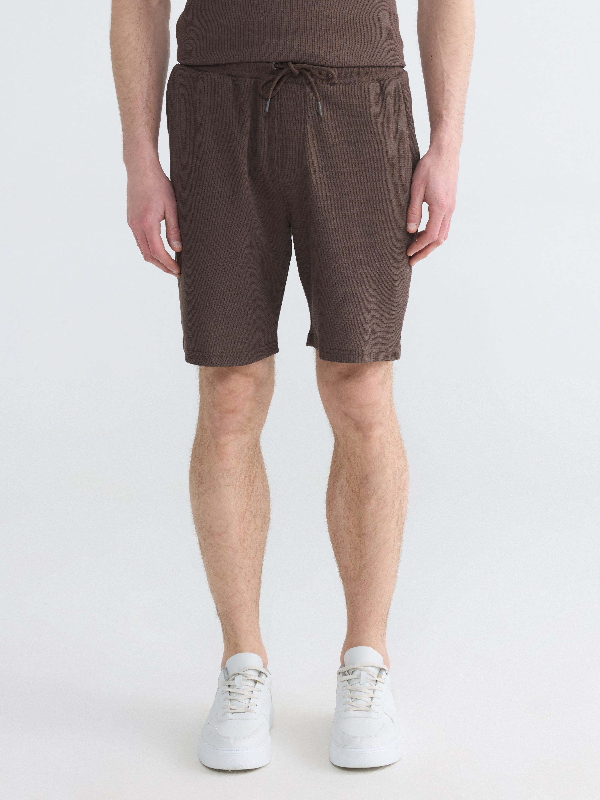 LCWAIKIKI Classic Regular Fit Erkek Şort görsel 2