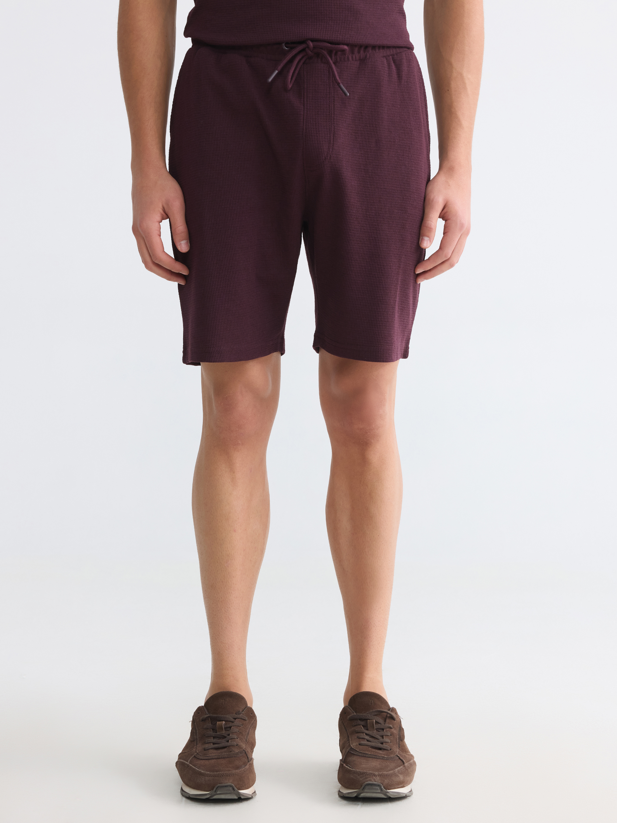 LCWAIKIKI Classic Regular Fit Erkek Şort görsel 2