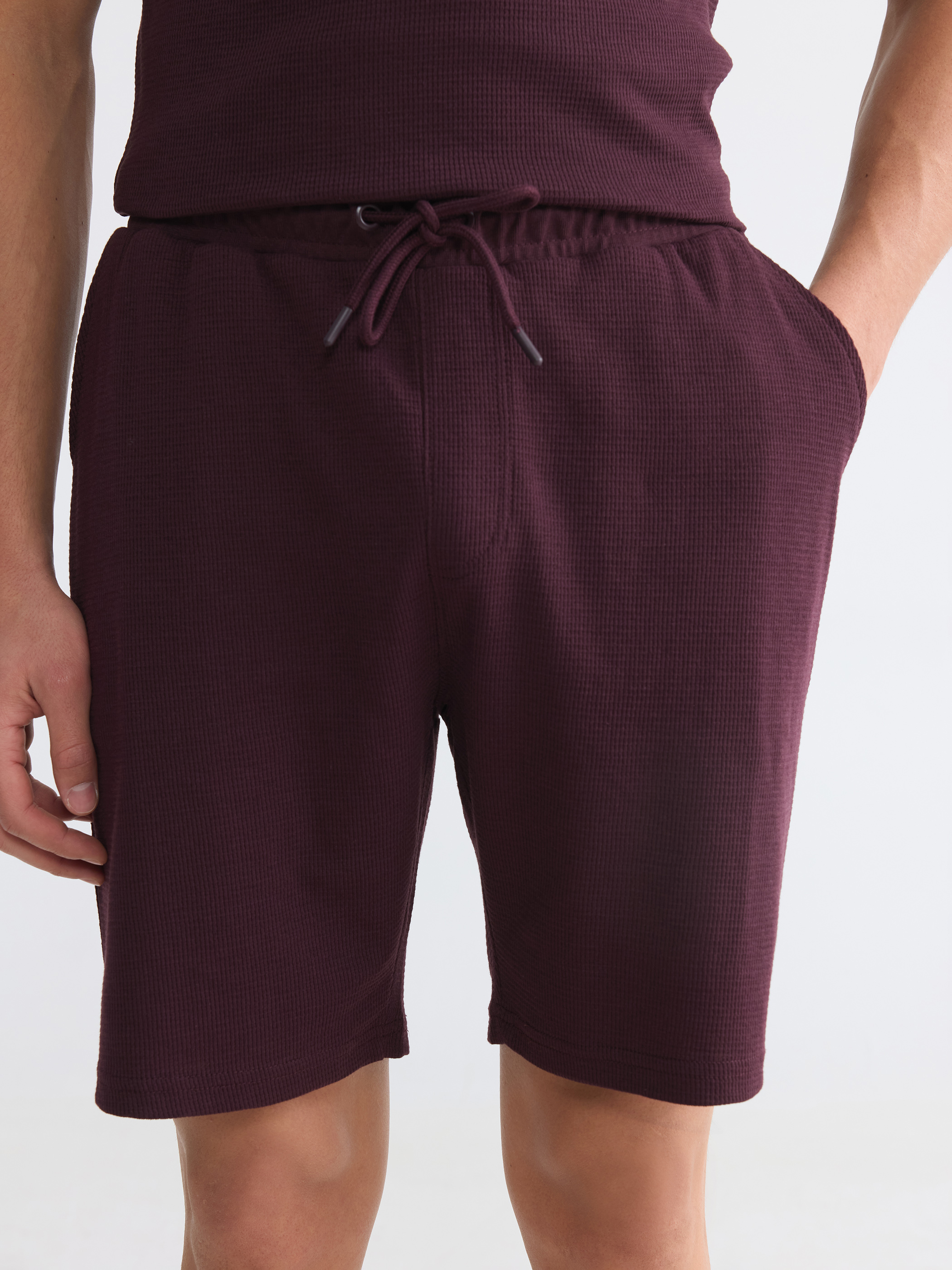 LCWAIKIKI Classic Regular Fit Erkek Şort görsel 3