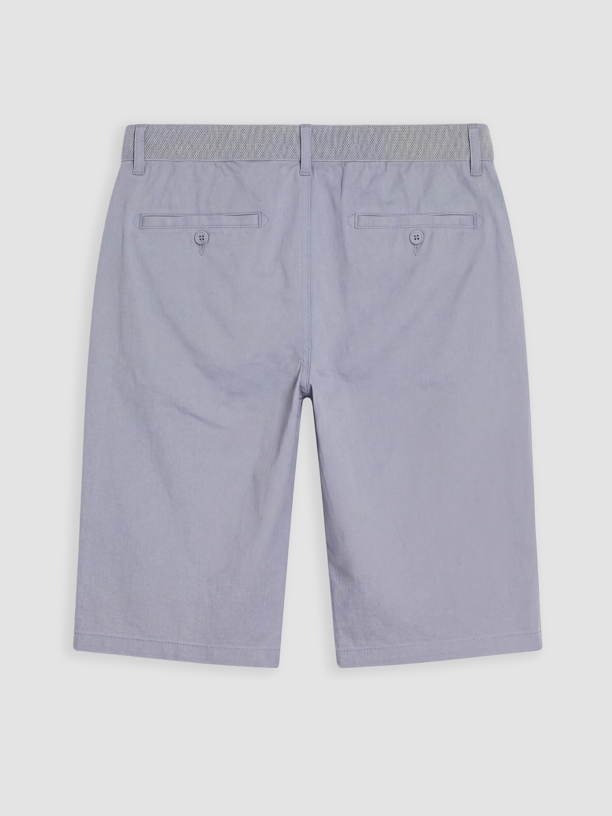 LCWAIKIKI Classic Regular Fit Erkek Şort görsel 2