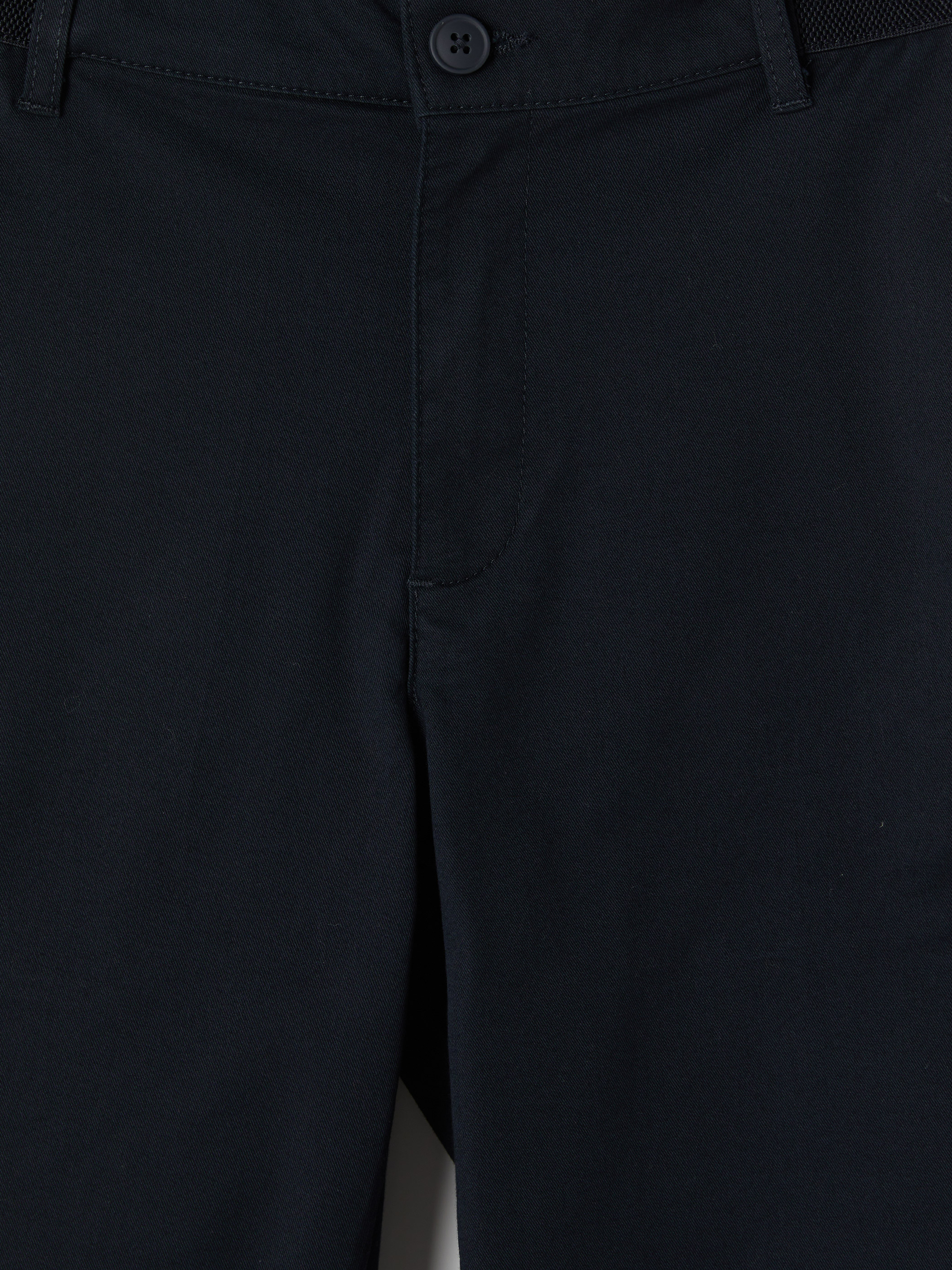 LCWAIKIKI Classic Regular Fit Erkek Şort görsel 2