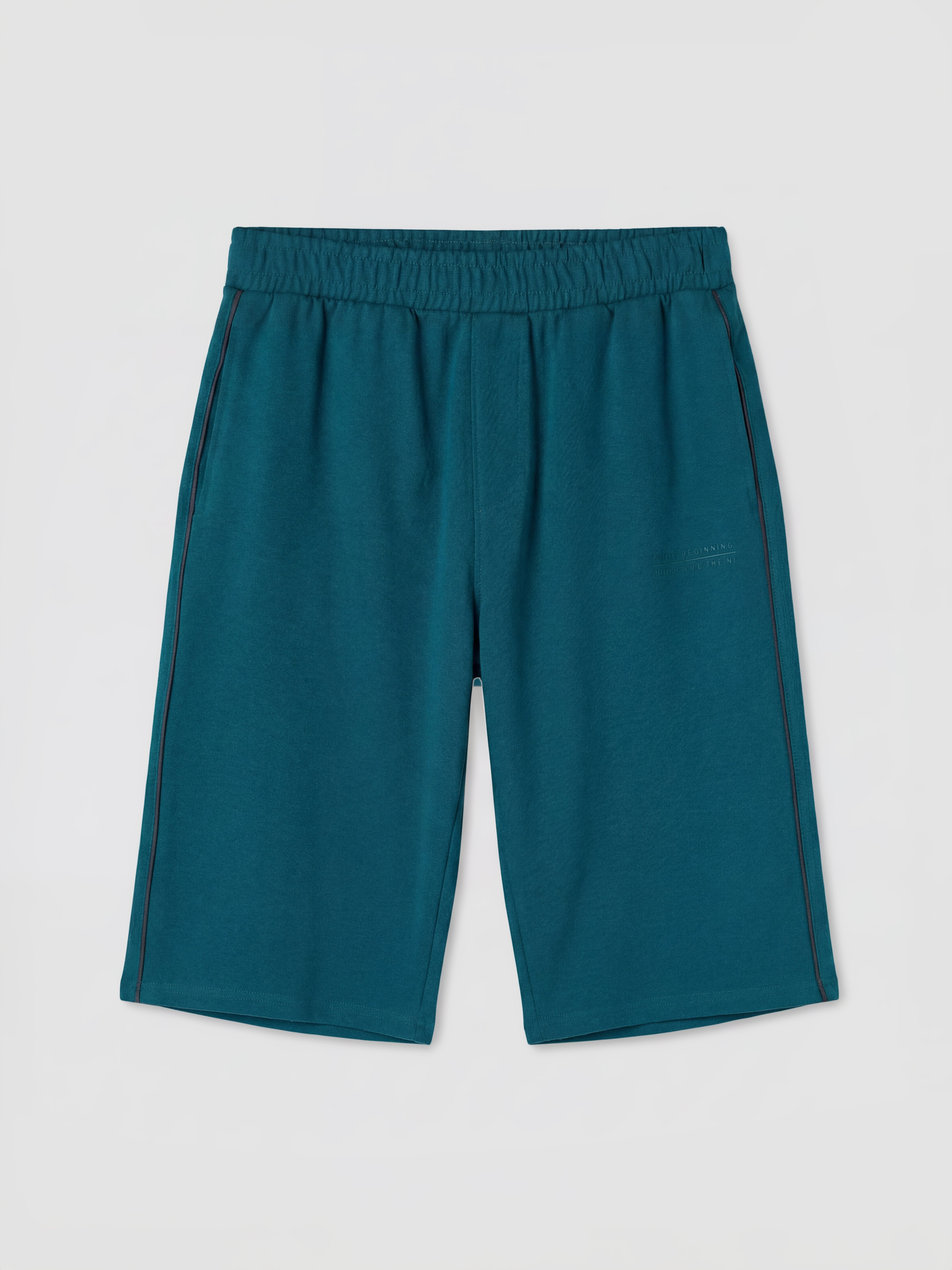 LCWAIKIKI Classic Regular Fit Erkek Şort görsel 5
