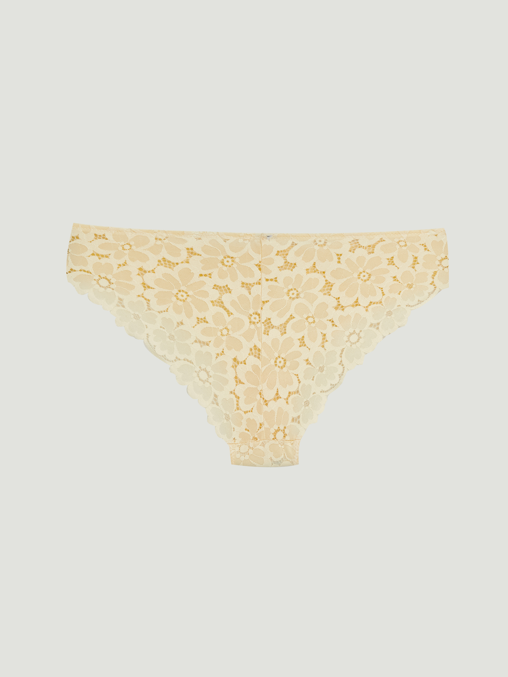 LCW DREAM Çiçekli Dantelli Bikini Külot görsel 2