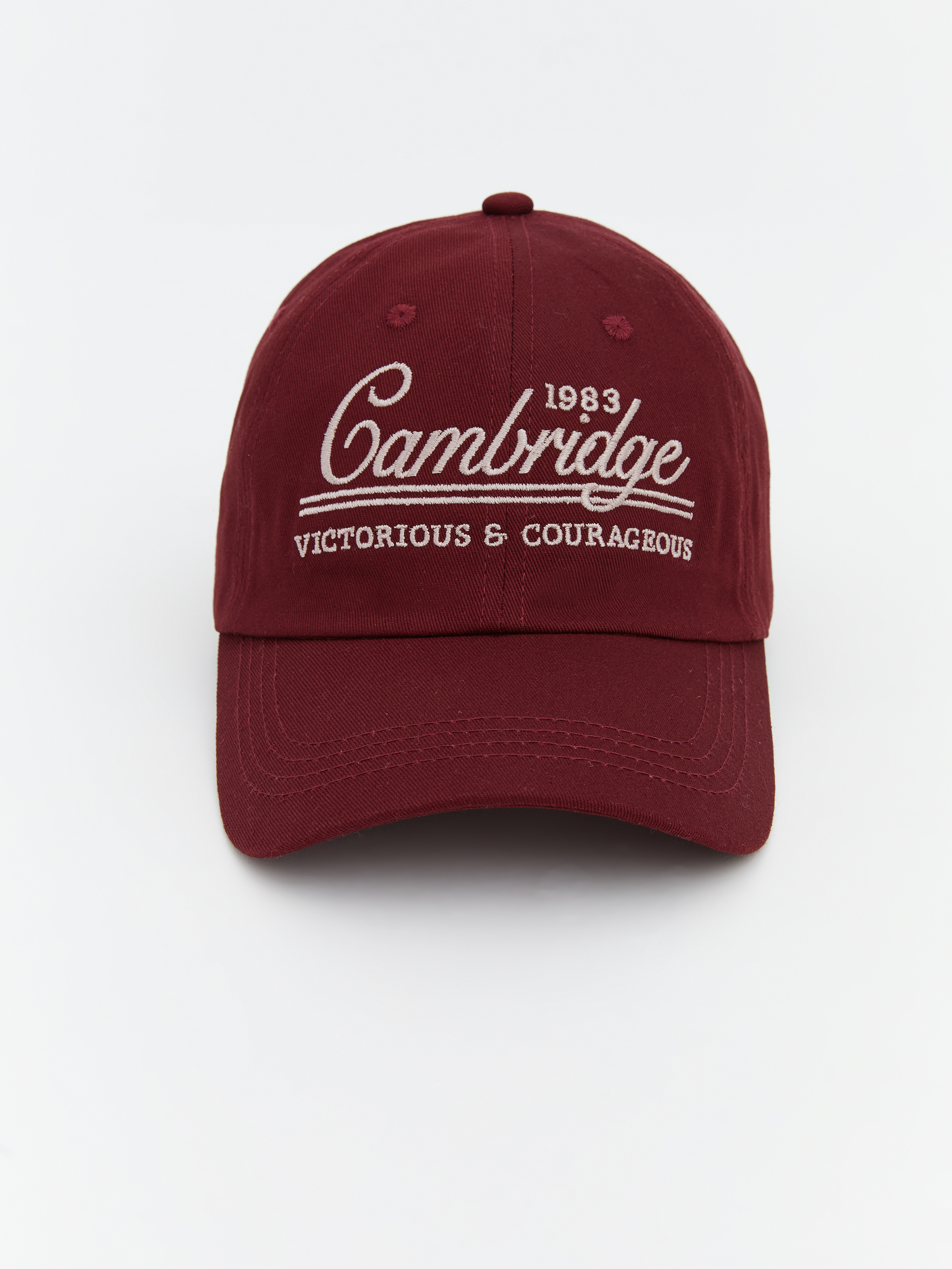 LCW ACCESSORIES Cambridge Nakışlı Erkek Kep Şapka görsel 2