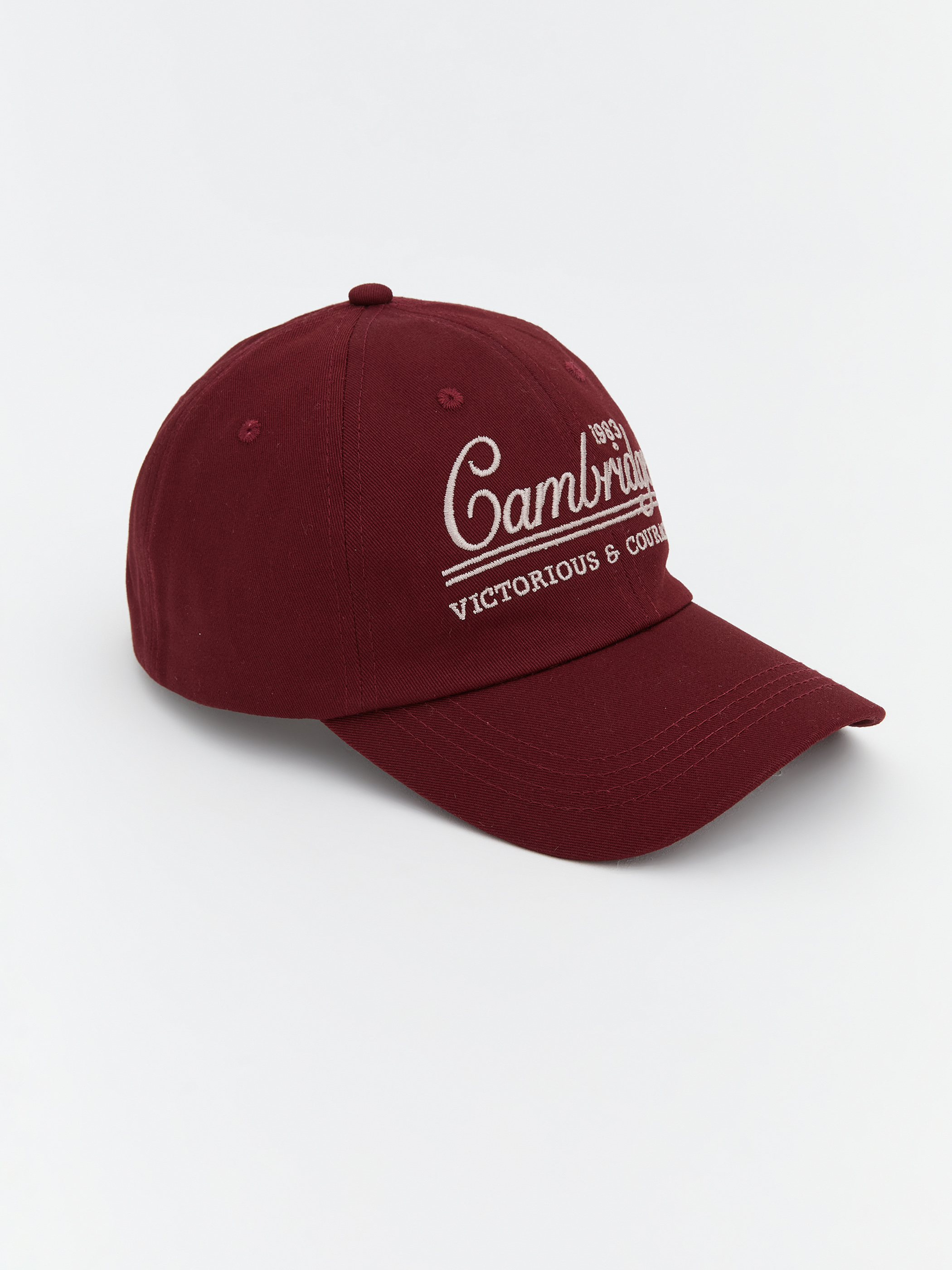 LCW ACCESSORIES Cambridge Nakışlı Erkek Kep Şapka görsel 3