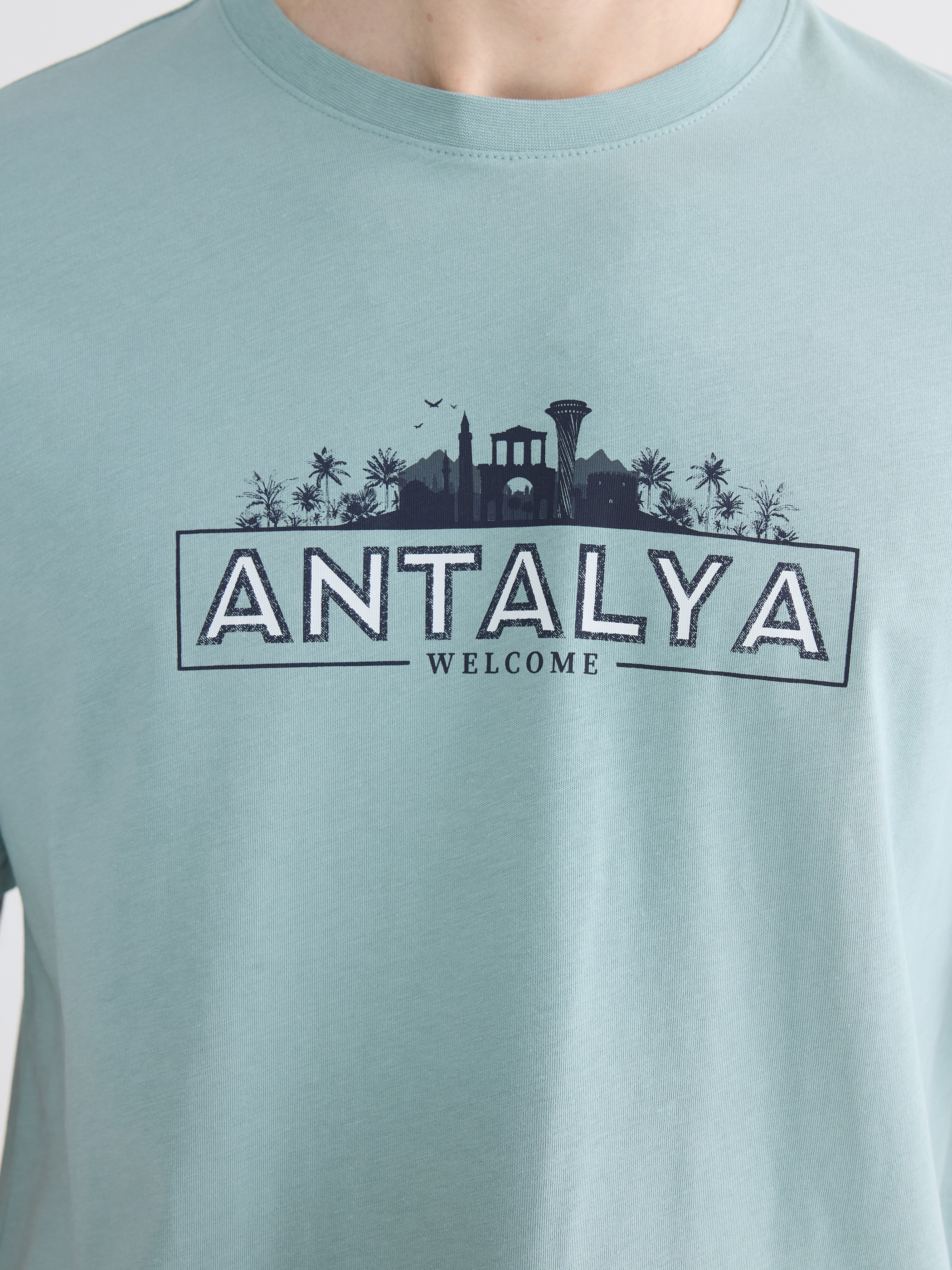 LCWAIKIKI Classic Bisiklet Yaka Antalya Baskılı Erkek Tişört görsel 3