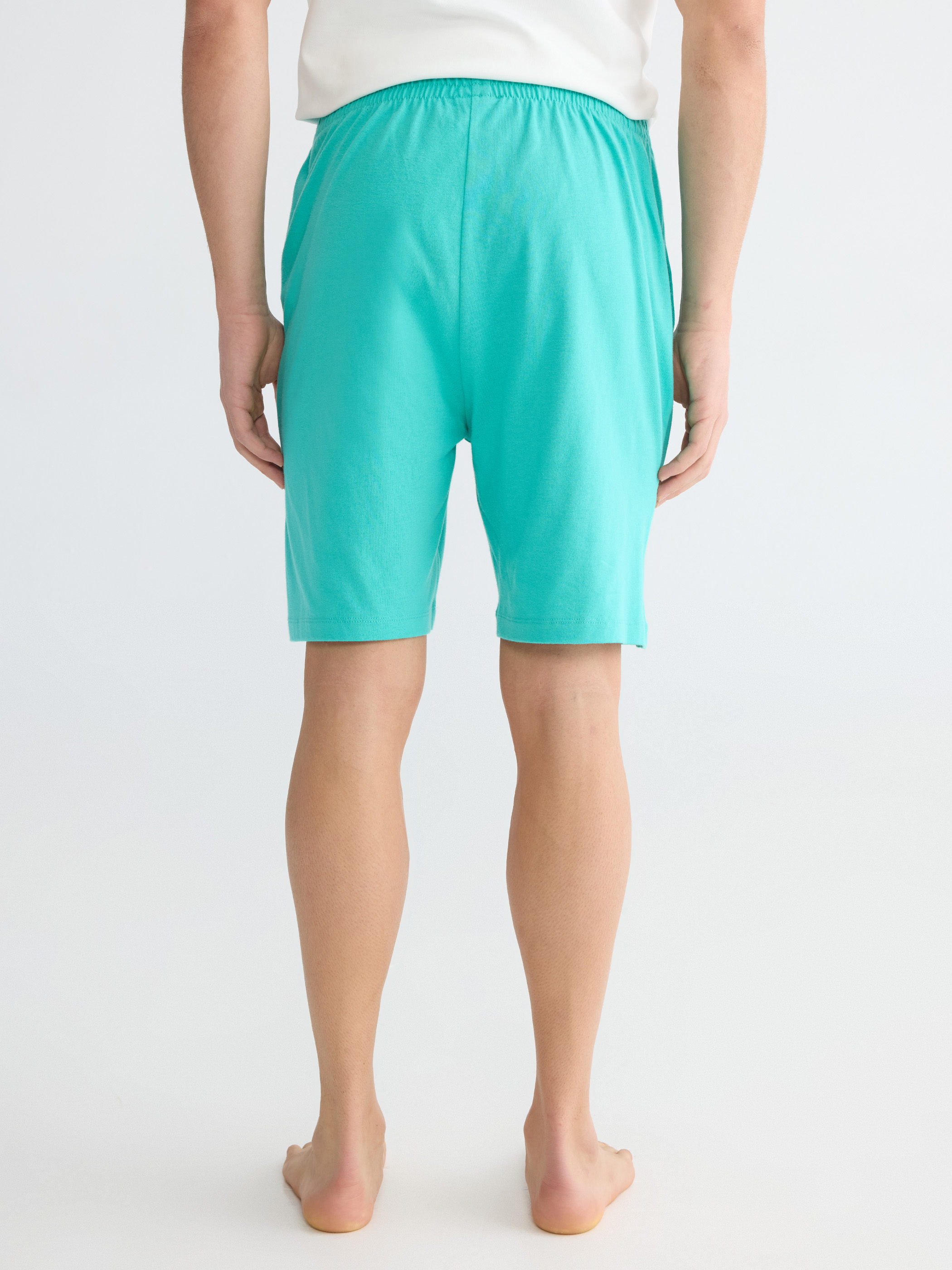 LC WAIKIKI Standart Kalıp Erkek Pijama Alt Şort görsel 5