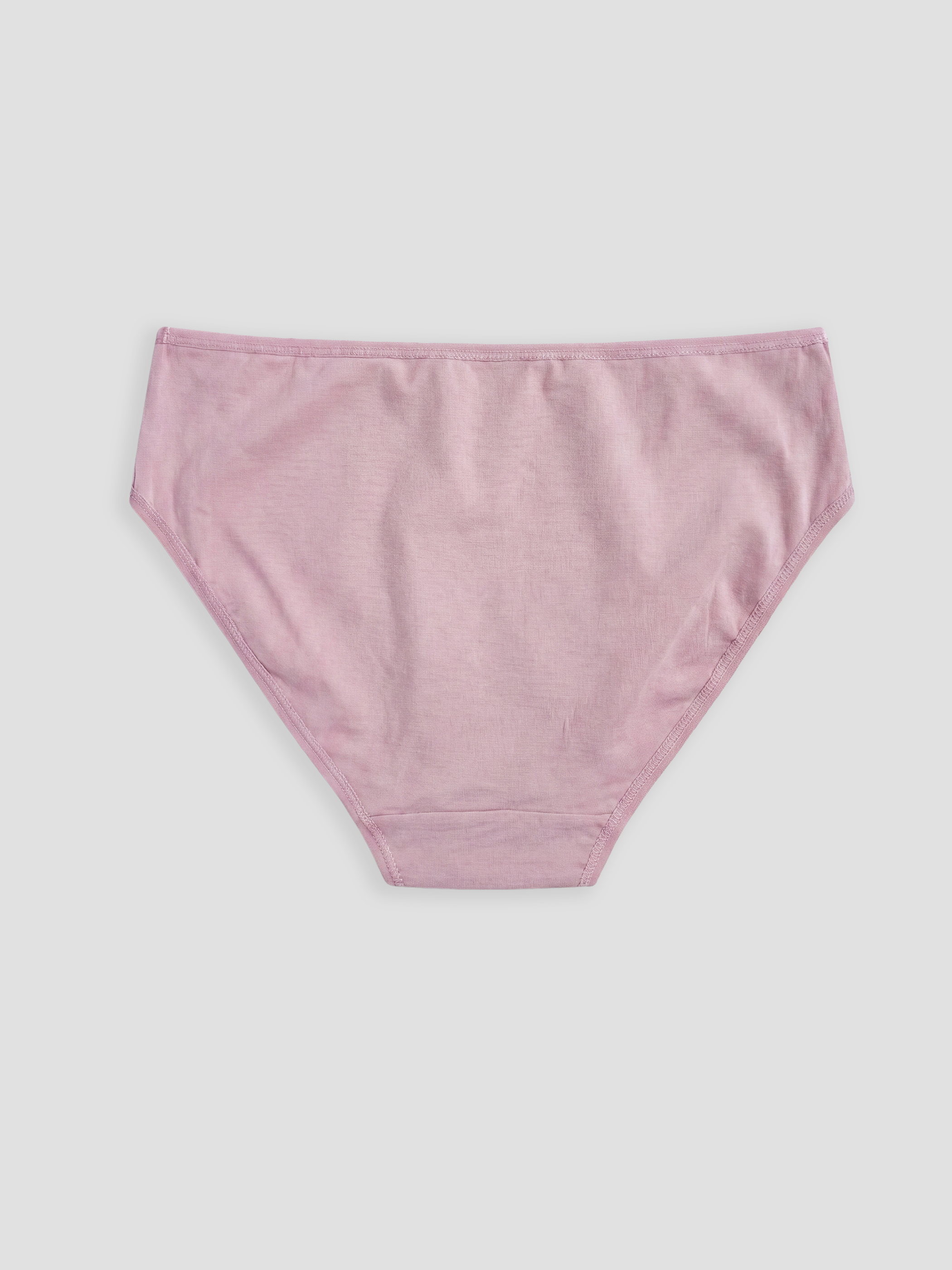 LCW DREAM Düz Bikini Külot 3'lü görsel 5