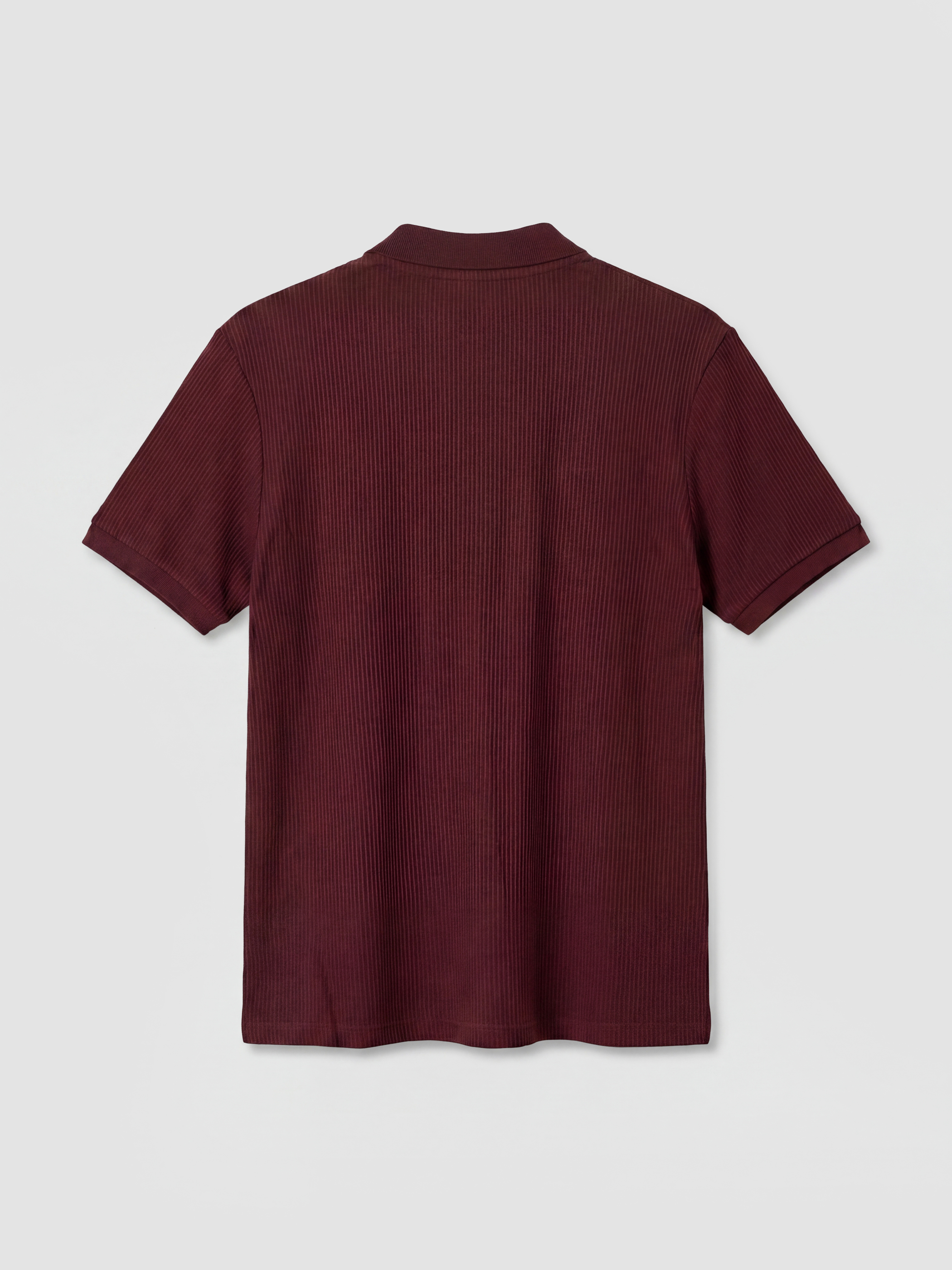 SOUTHBLUE Polo Yaka Erkek Dokulu Tişört görsel 7