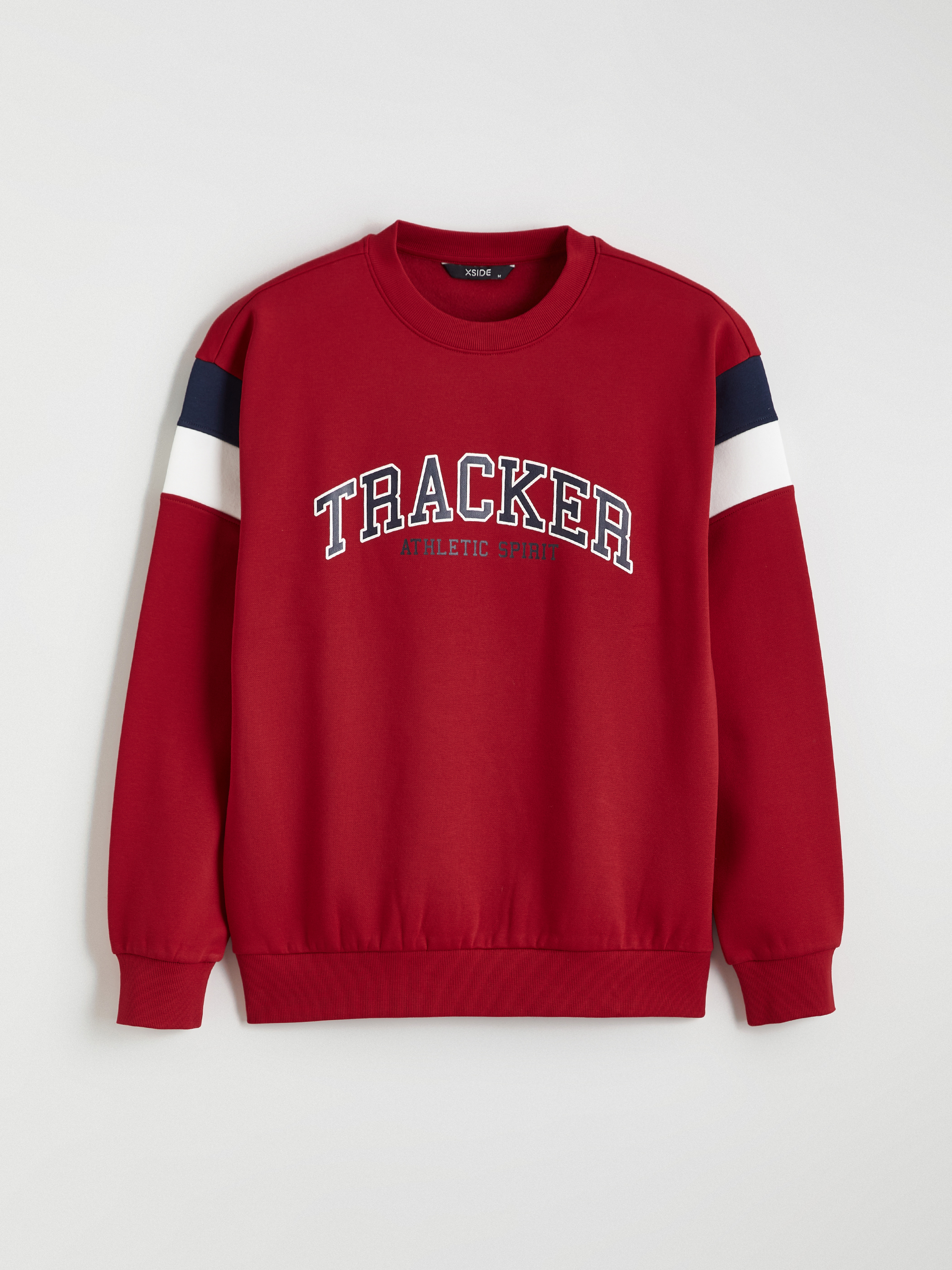 XSIDE Bisiklet Yaka Baskılı Erkek Kalın Sweatshirt görsel 5