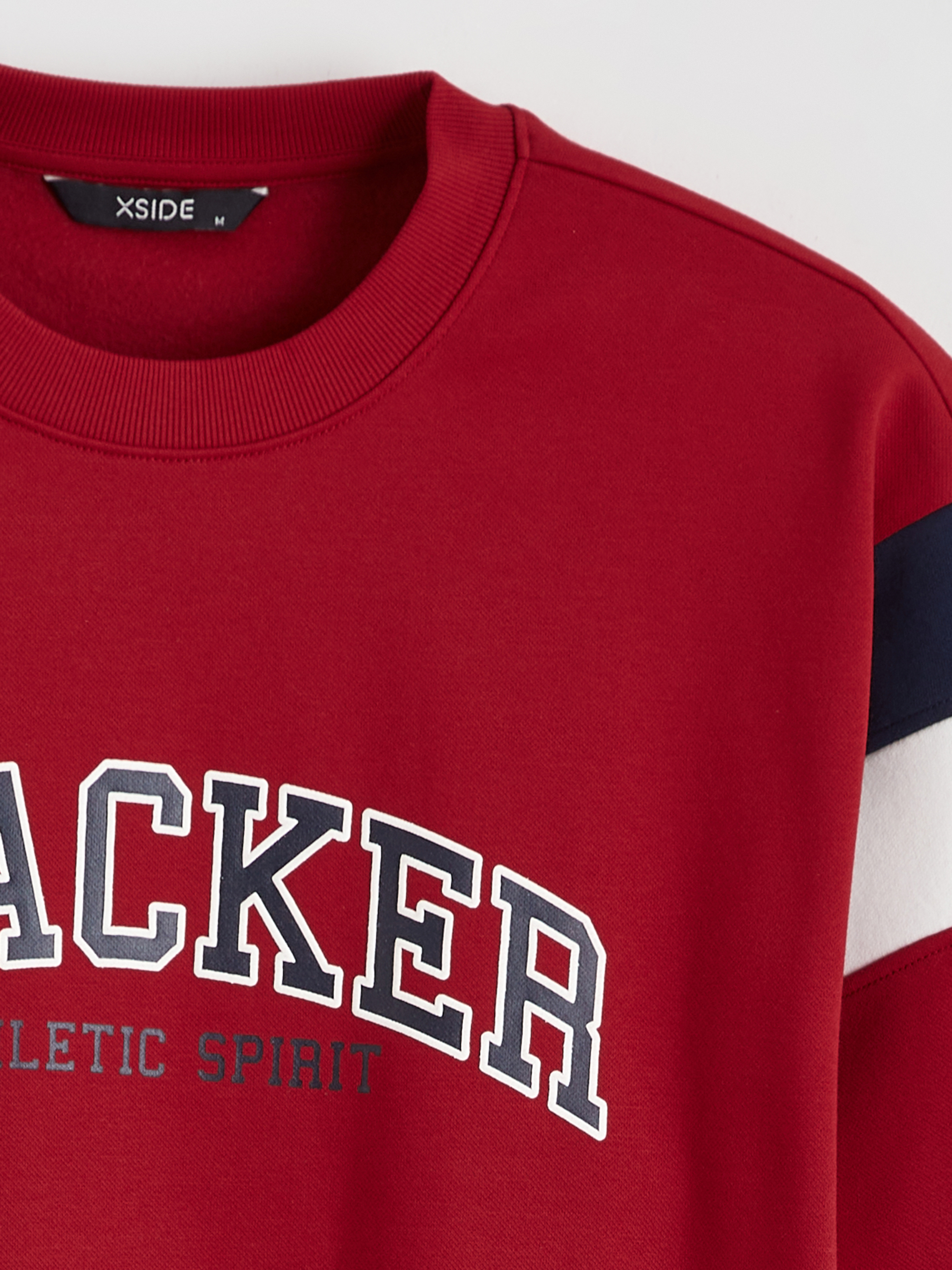XSIDE Bisiklet Yaka Baskılı Erkek Kalın Sweatshirt görsel 6