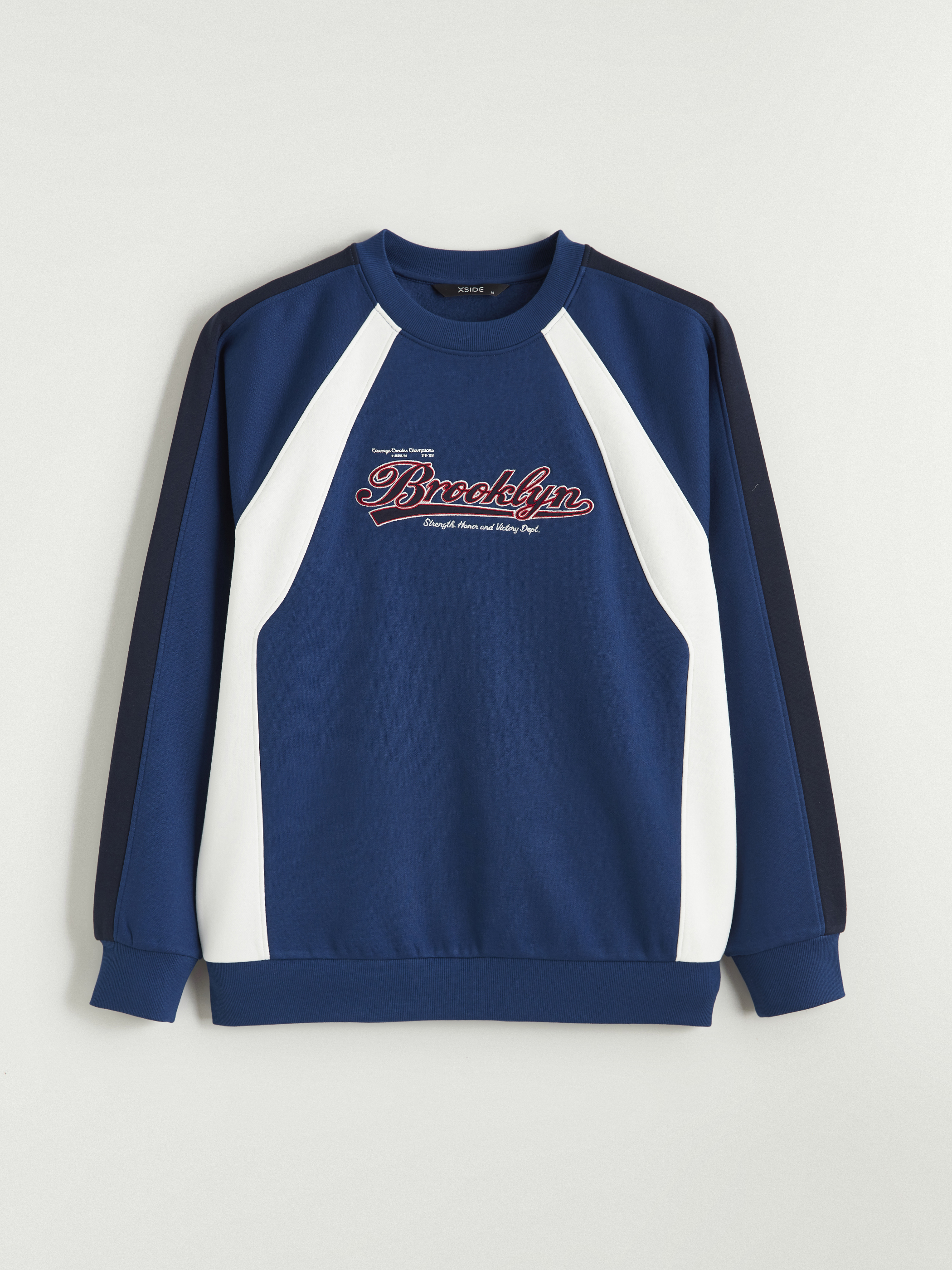 XSIDE Bisiklet Yaka Baskılı Erkek Kalın Sweatshirt görsel 5
