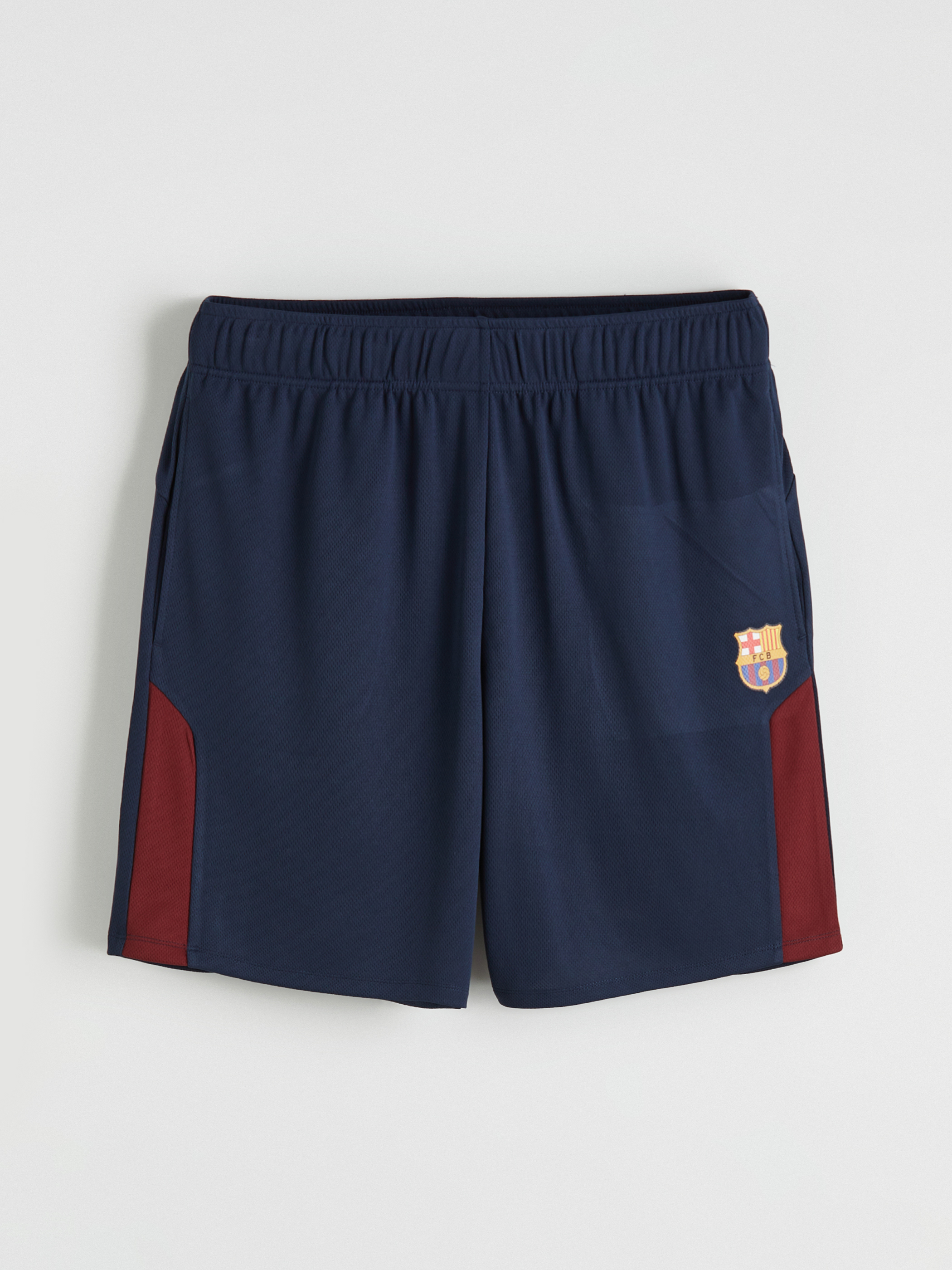 XSIDE ACTIVE Regular Fit Barcelona Nakışlı Erkek Şort görsel 4