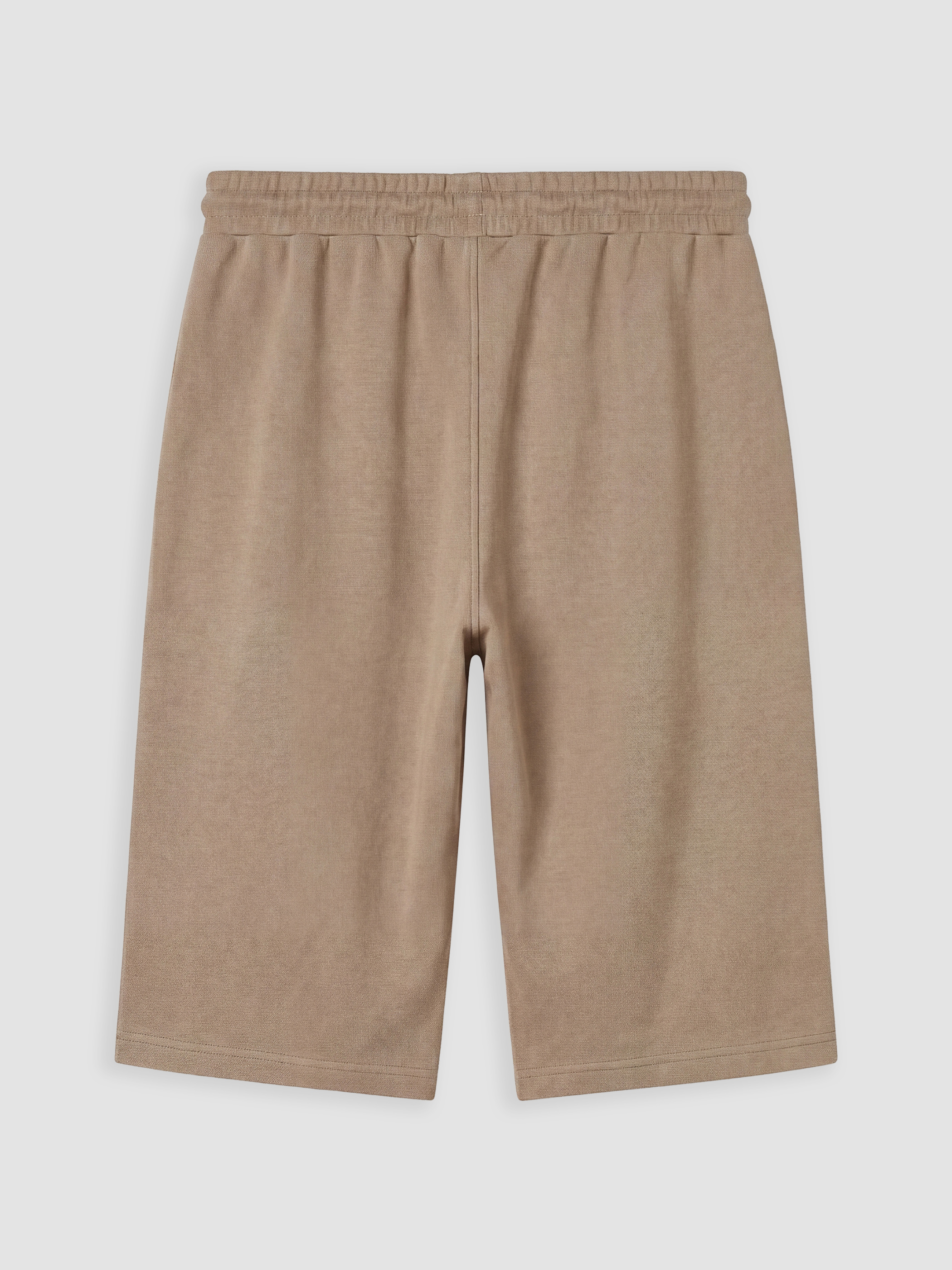 LCWAIKIKI Classic Regular Fit Erkek Şort görsel 6