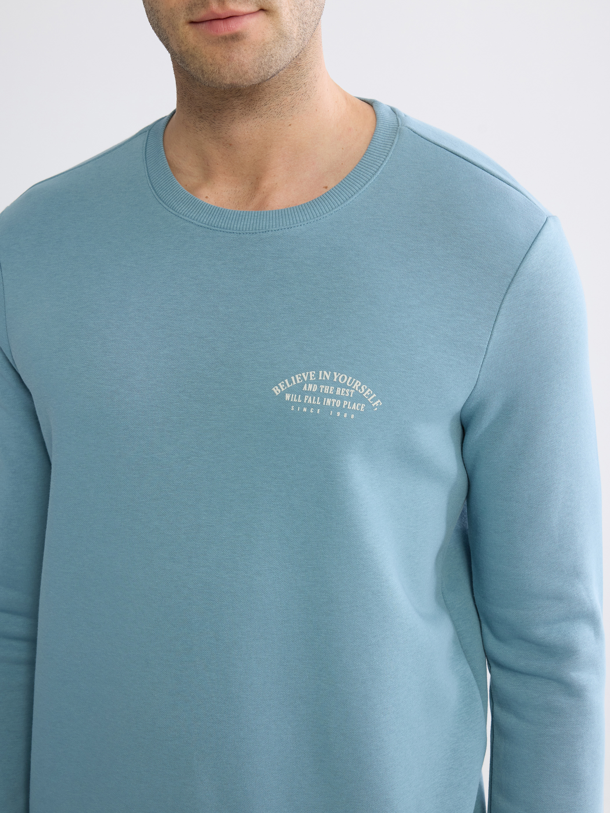 LCWAIKIKI Classic Bisiklet Yaka Baskılı Erkek Kalın Sweatshirt görsel 3