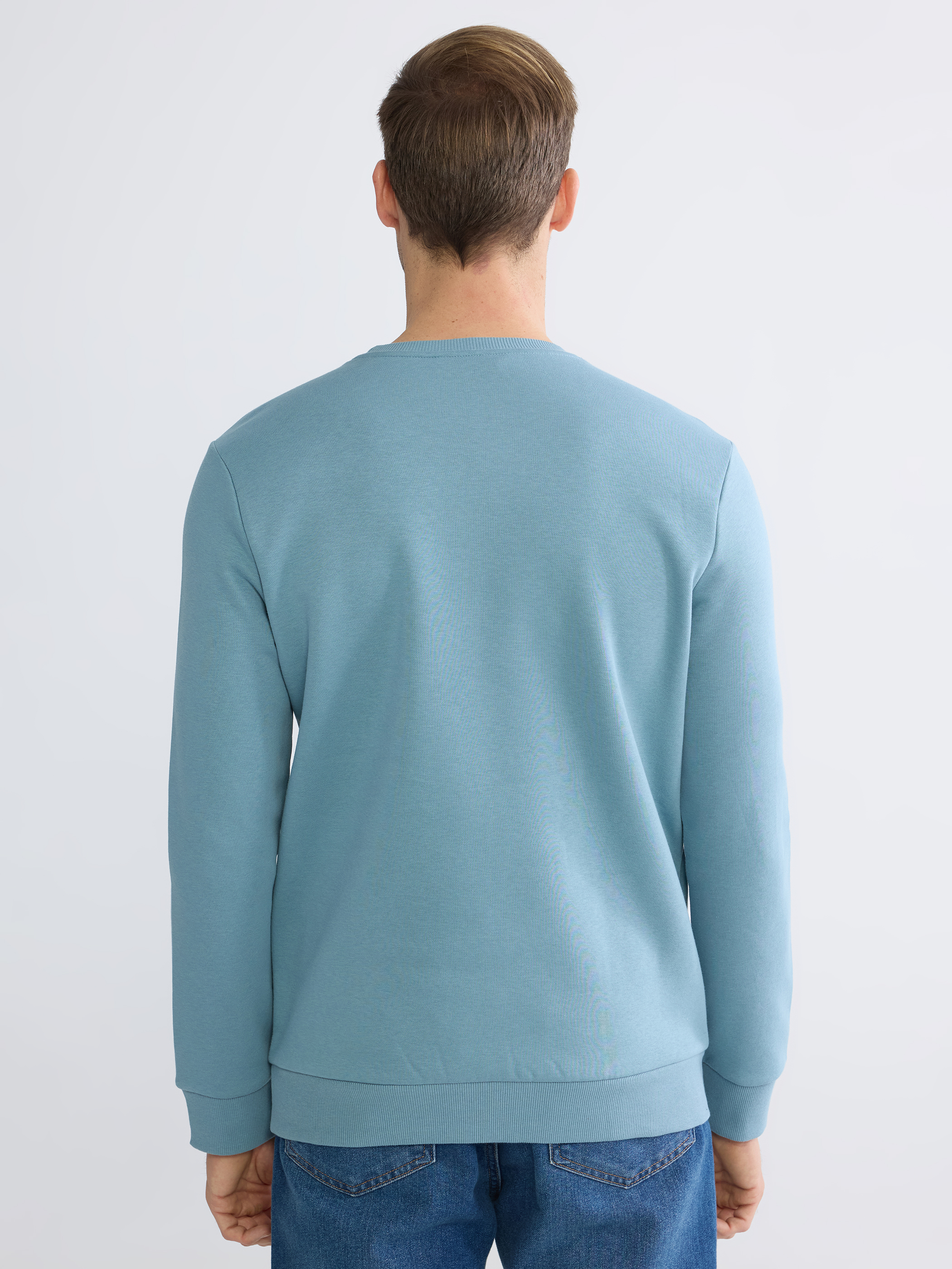 LCWAIKIKI Classic Bisiklet Yaka Baskılı Erkek Kalın Sweatshirt görsel 4
