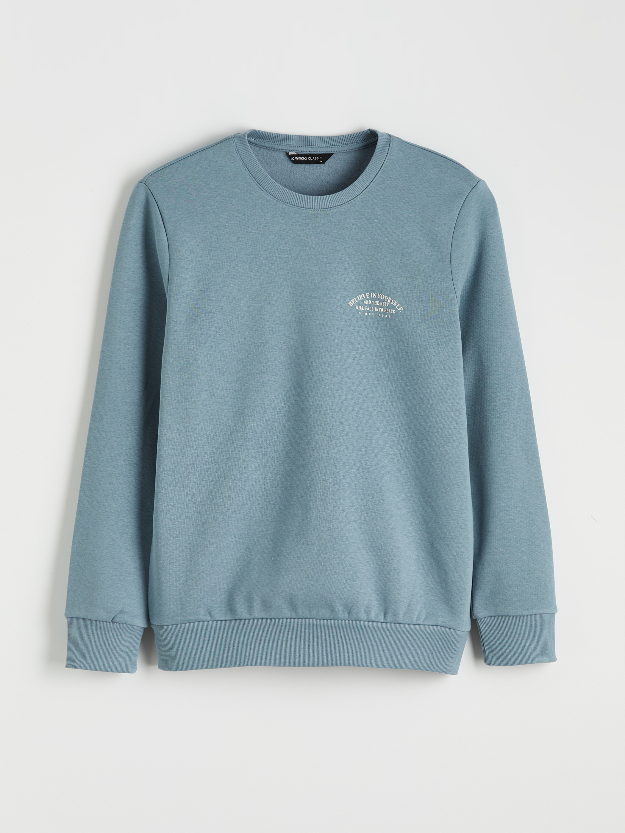 LCWAIKIKI Classic Bisiklet Yaka Baskılı Erkek Kalın Sweatshirt görsel 5