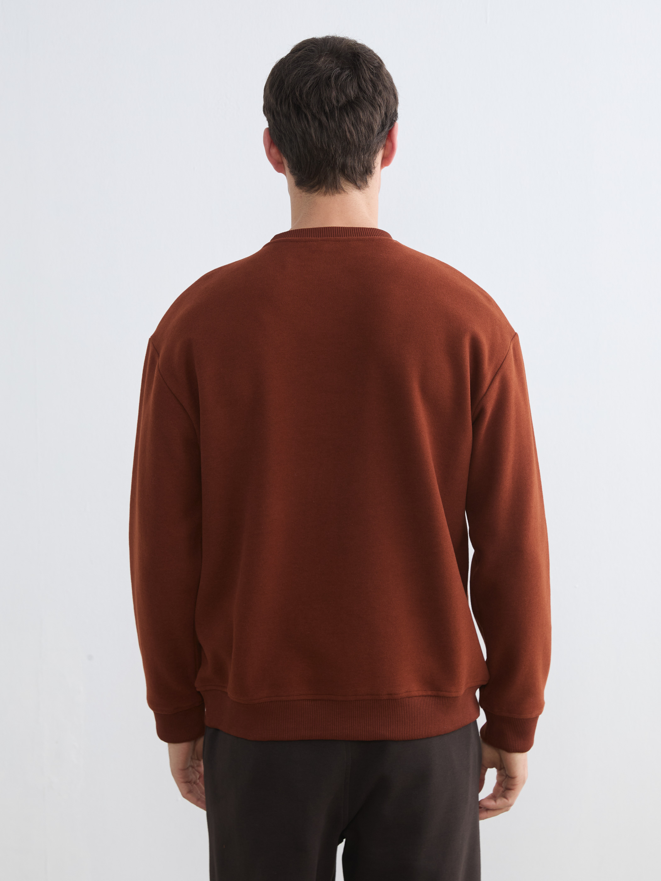 LCW Vision Bisiklet Yaka Erkek Sweatshirt görsel 4