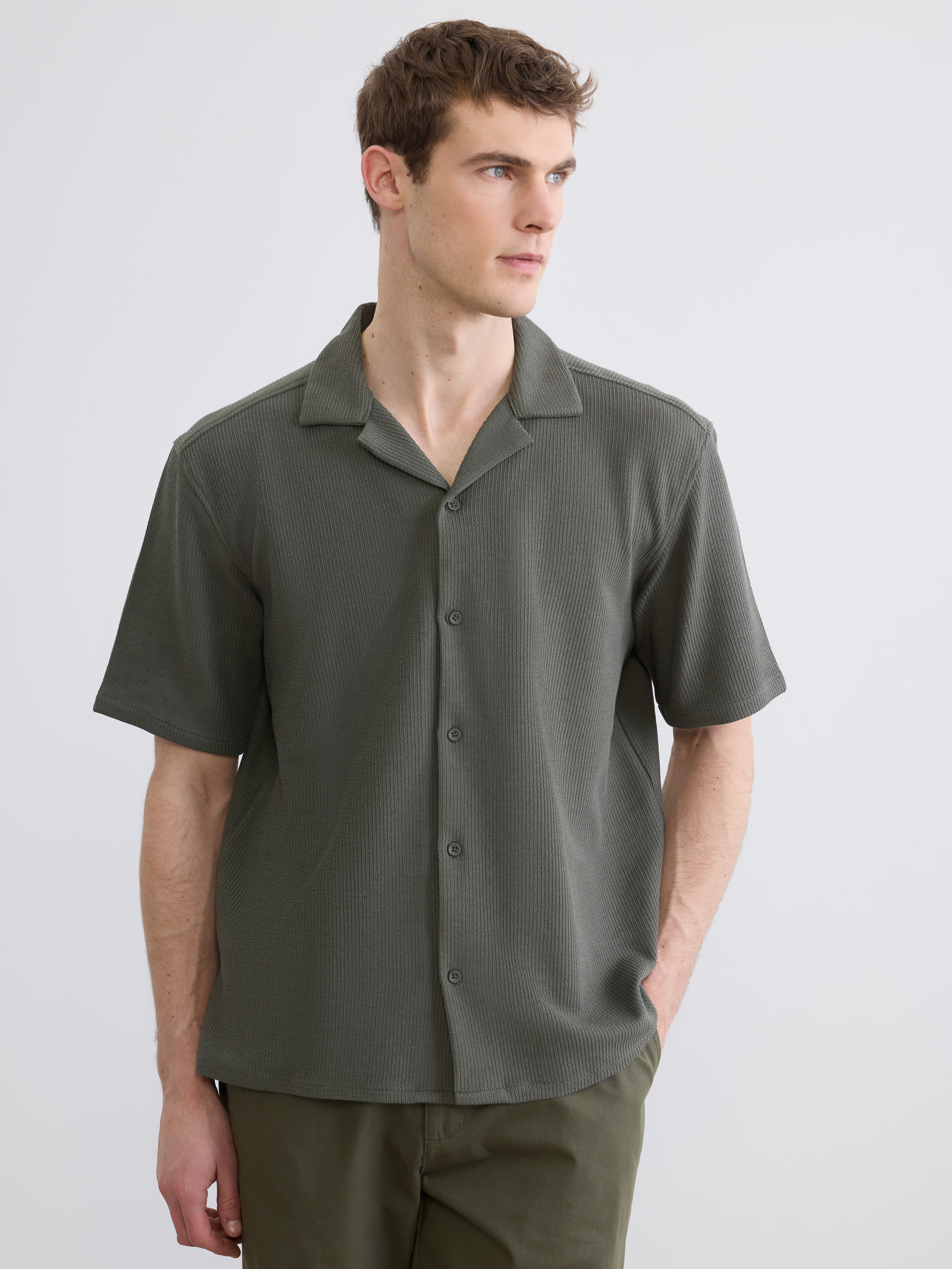 LCW Vision Regular Fit Resort Yaka Erkek Gömlek görsel 2