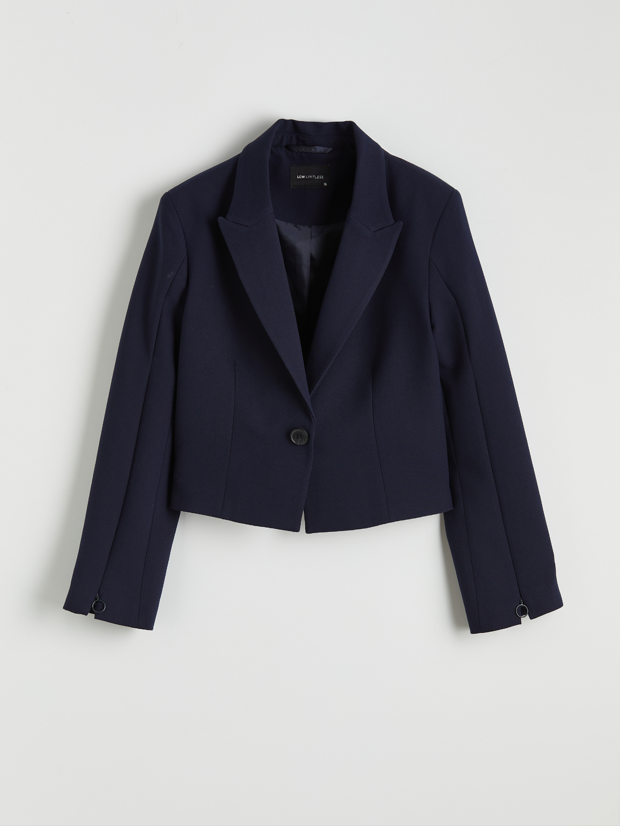 LCW Limitless Kolay Giyilebilir Koldan Fermuarlı Kadın Crop Blazer Ceket görsel 5