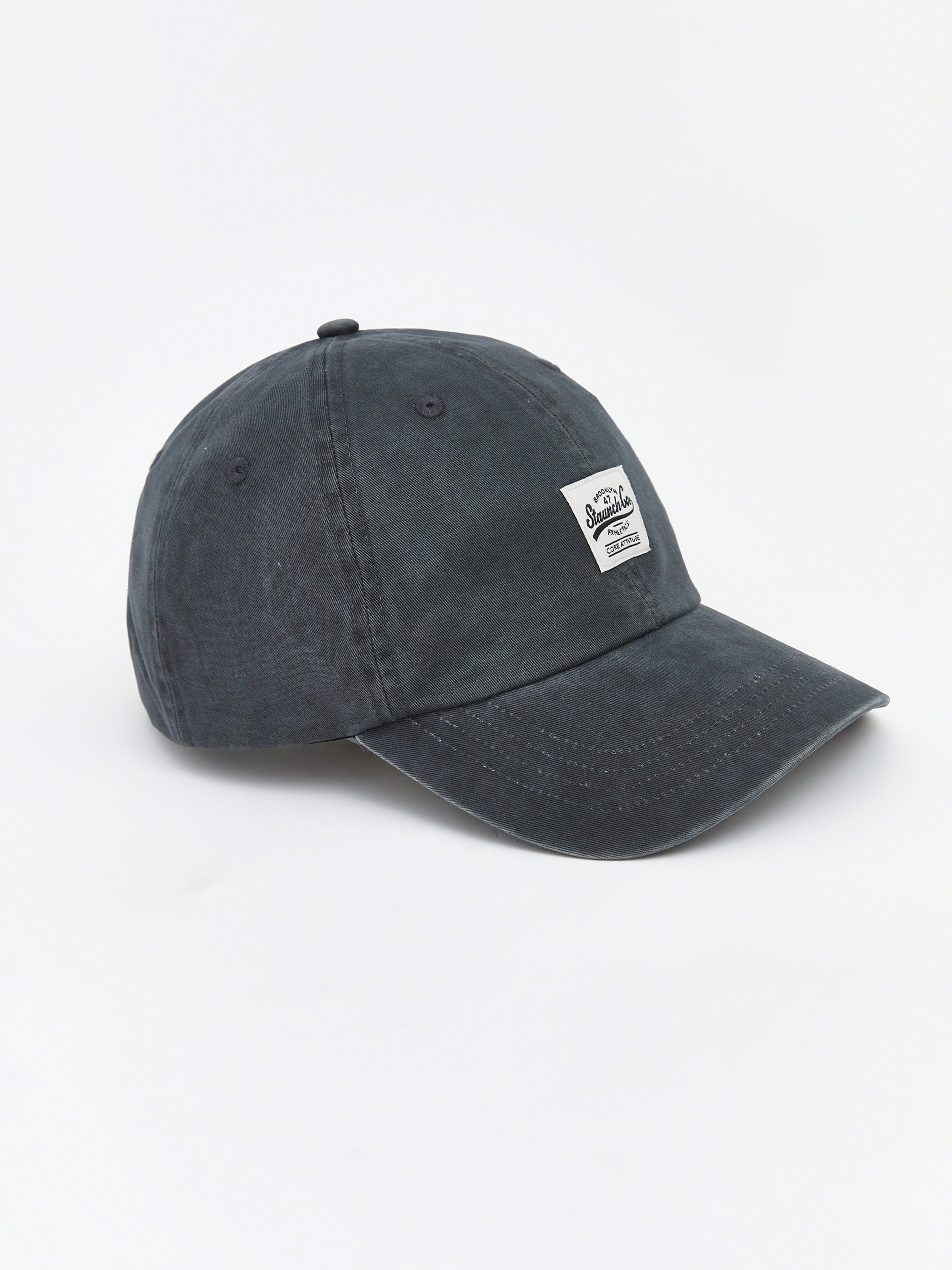 LCW ACCESSORIES Nakışlı Erkek Kep Şapka görsel 2