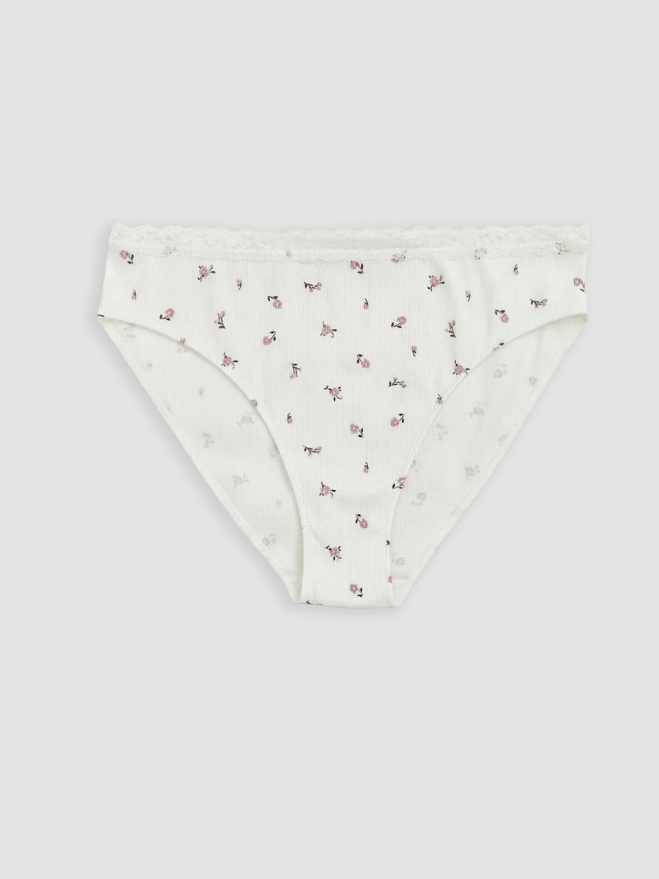 LCW DREAM Desenli Bikini Külot 2'li görsel 2