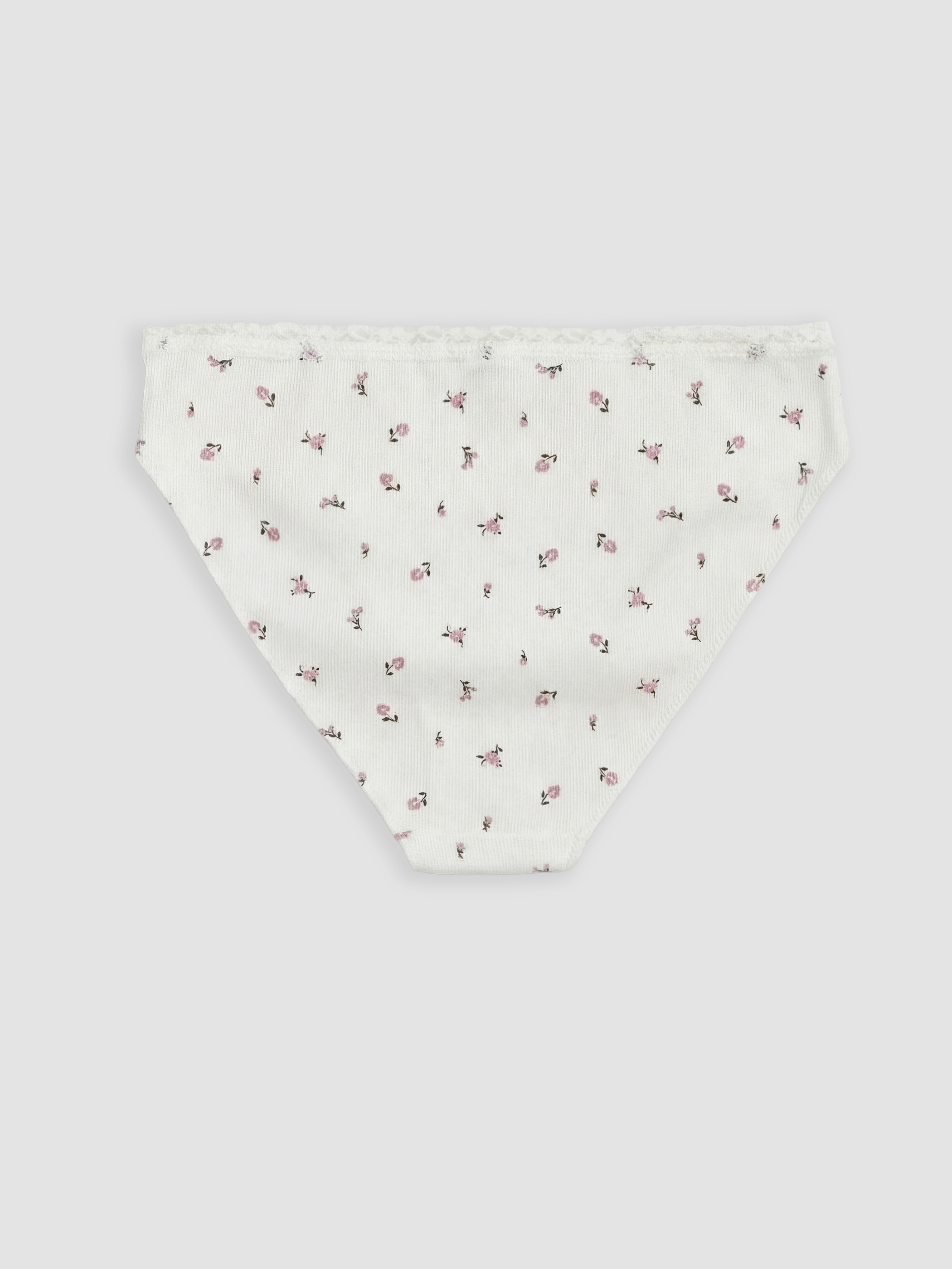 LCW DREAM Desenli Bikini Külot 2'li görsel 4