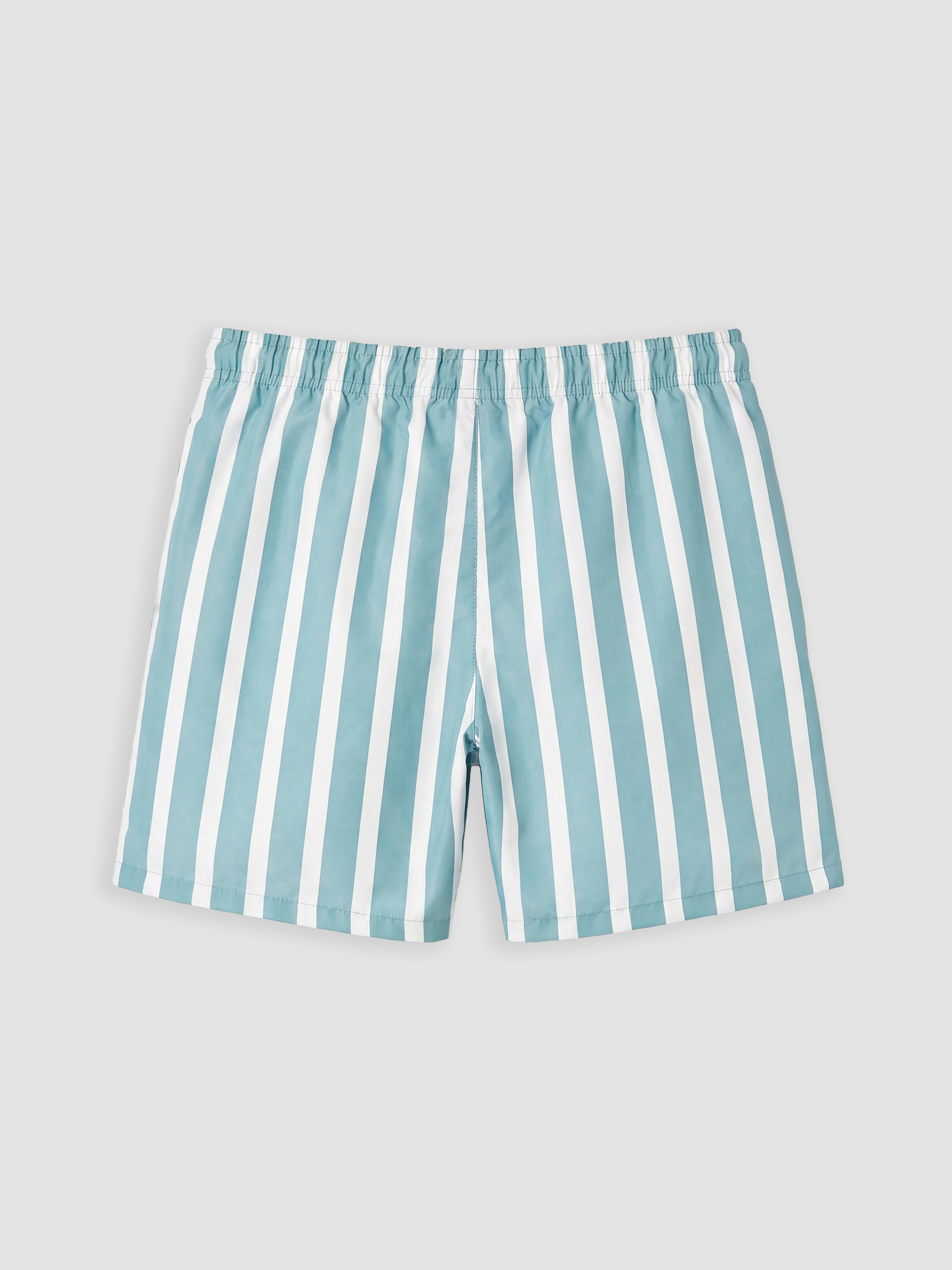 LCW SWIMWEAR Kısa Boy Çizgili Erkek Deniz Şortu görsel 7