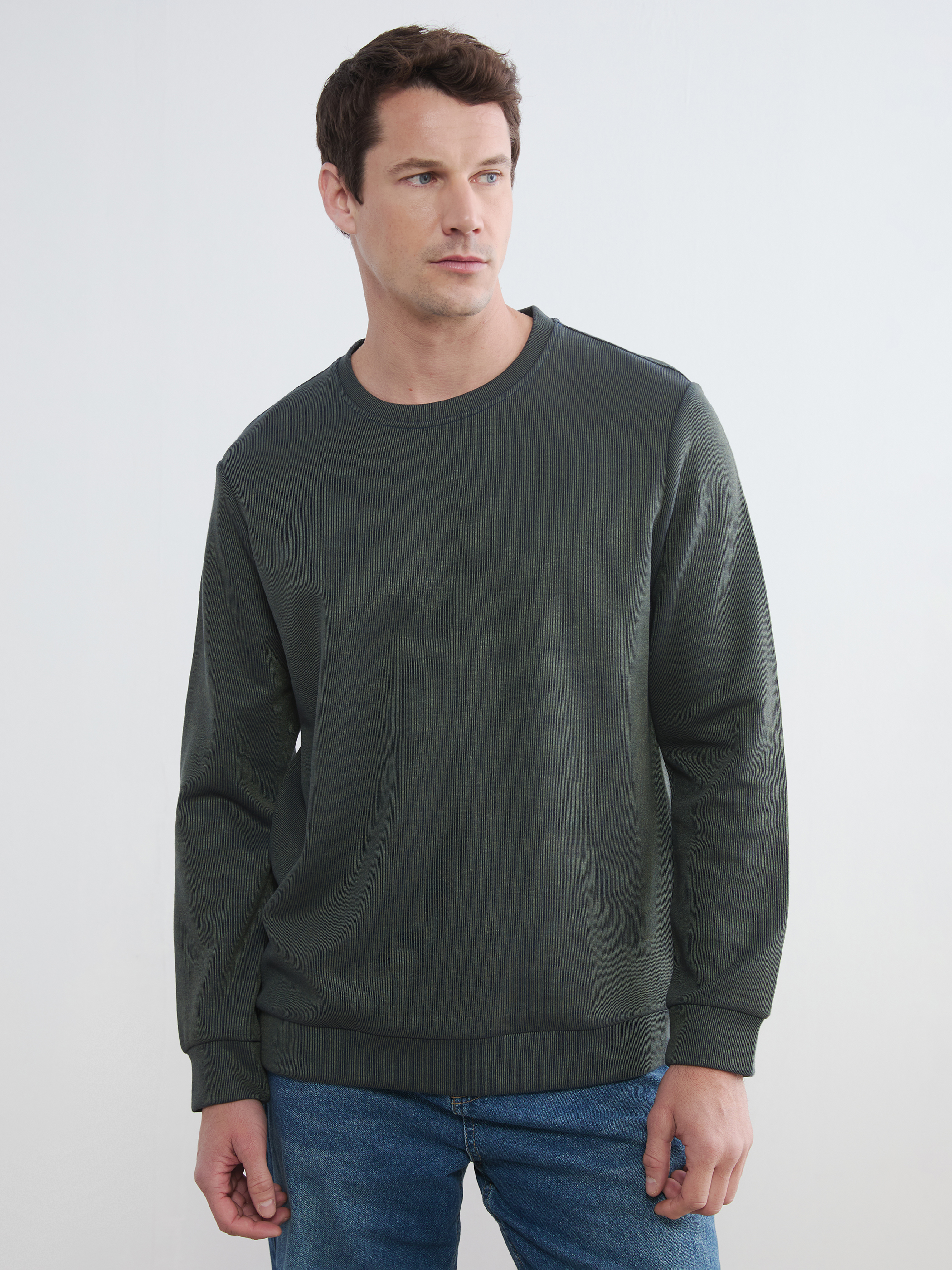 LCWAIKIKI Classic Bisiklet Yaka Erkek Sweatshirt