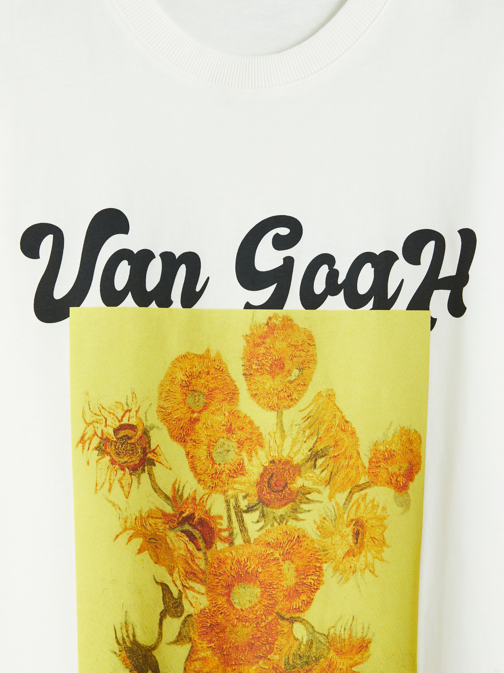LCW Vision Van Gogh Baskılı %100 Pamuklu Kadın Tişört görsel 7