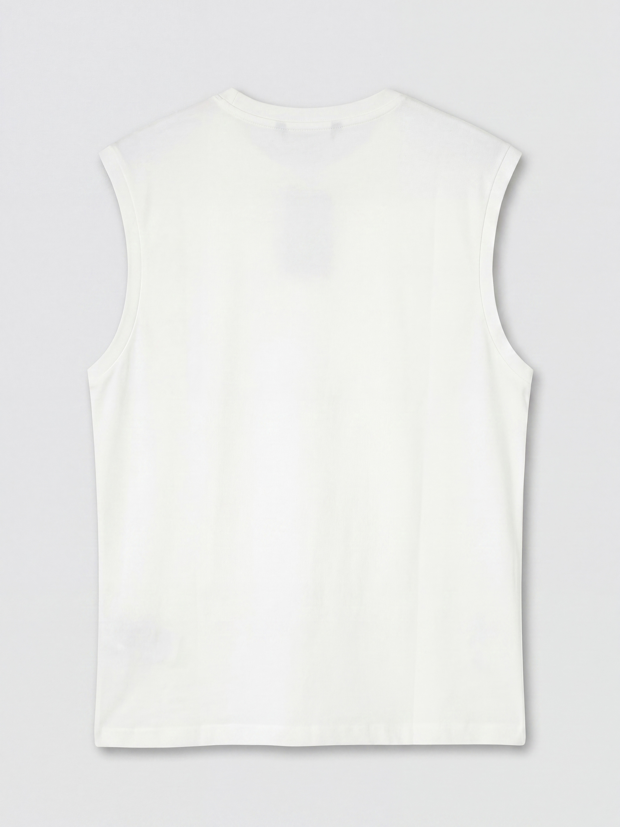 XSIDE Regular Fit Bisiklet Yaka Kolsuz Erkek Tişört görsel 6