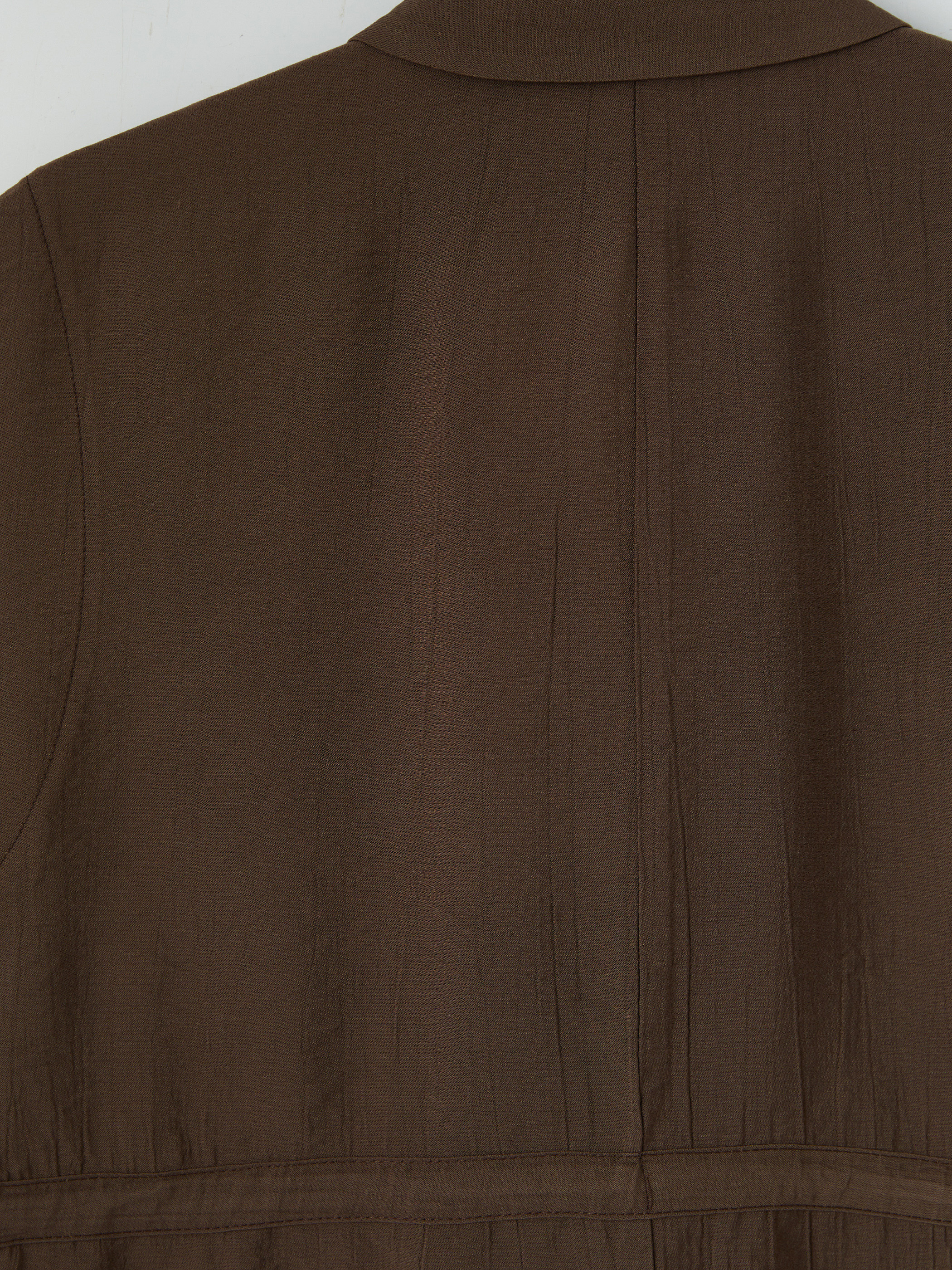 LCW Comfort Bağlama Detaylı Kadın Gömlek görsel 8
