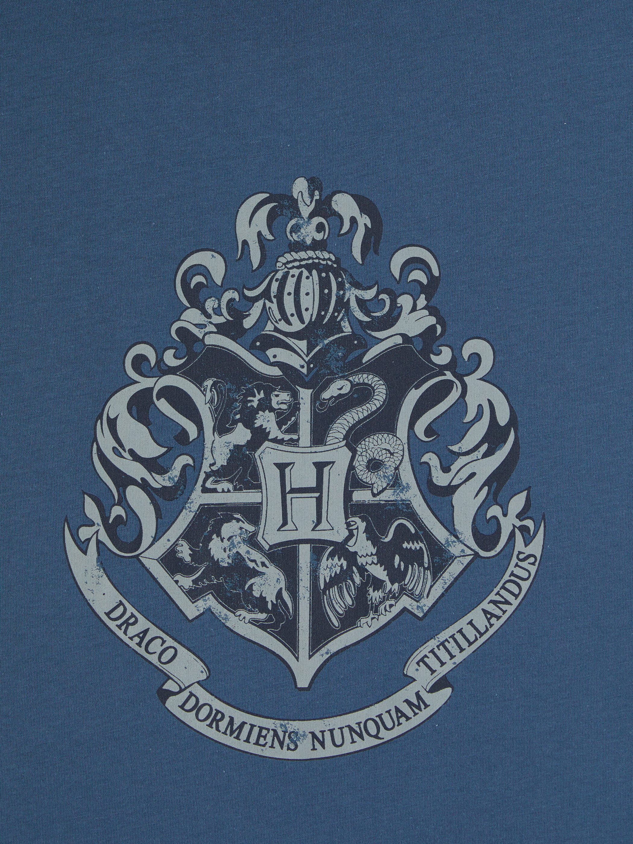 XSIDE Bisiklet Yaka Harry Potter Baskılı Erkek Tişört görsel 7