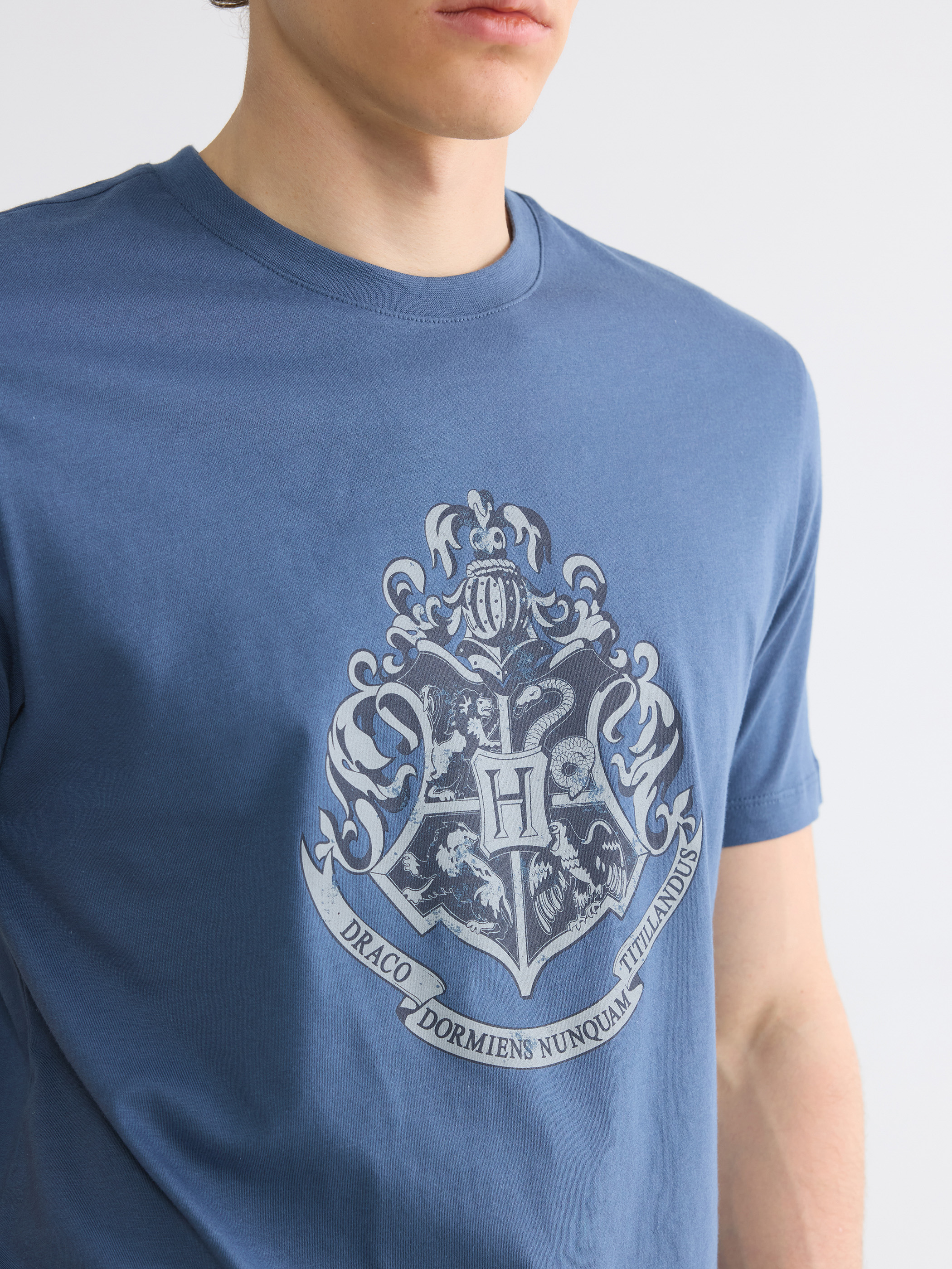 XSIDE Bisiklet Yaka Harry Potter Baskılı Erkek Tişört görsel 3