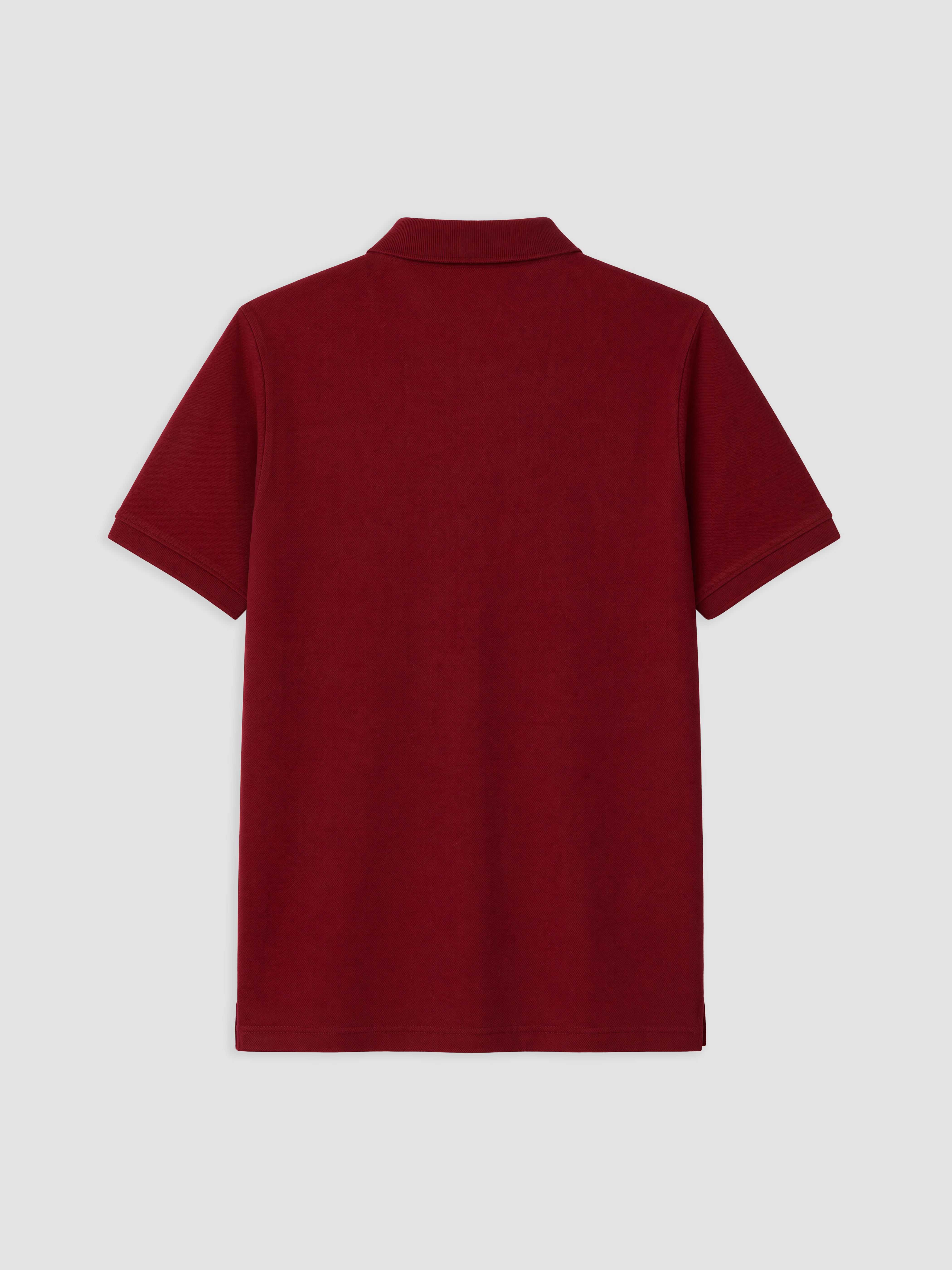 SOUTHBLUE Polo Yaka Pike Erkek Tişört görsel 6